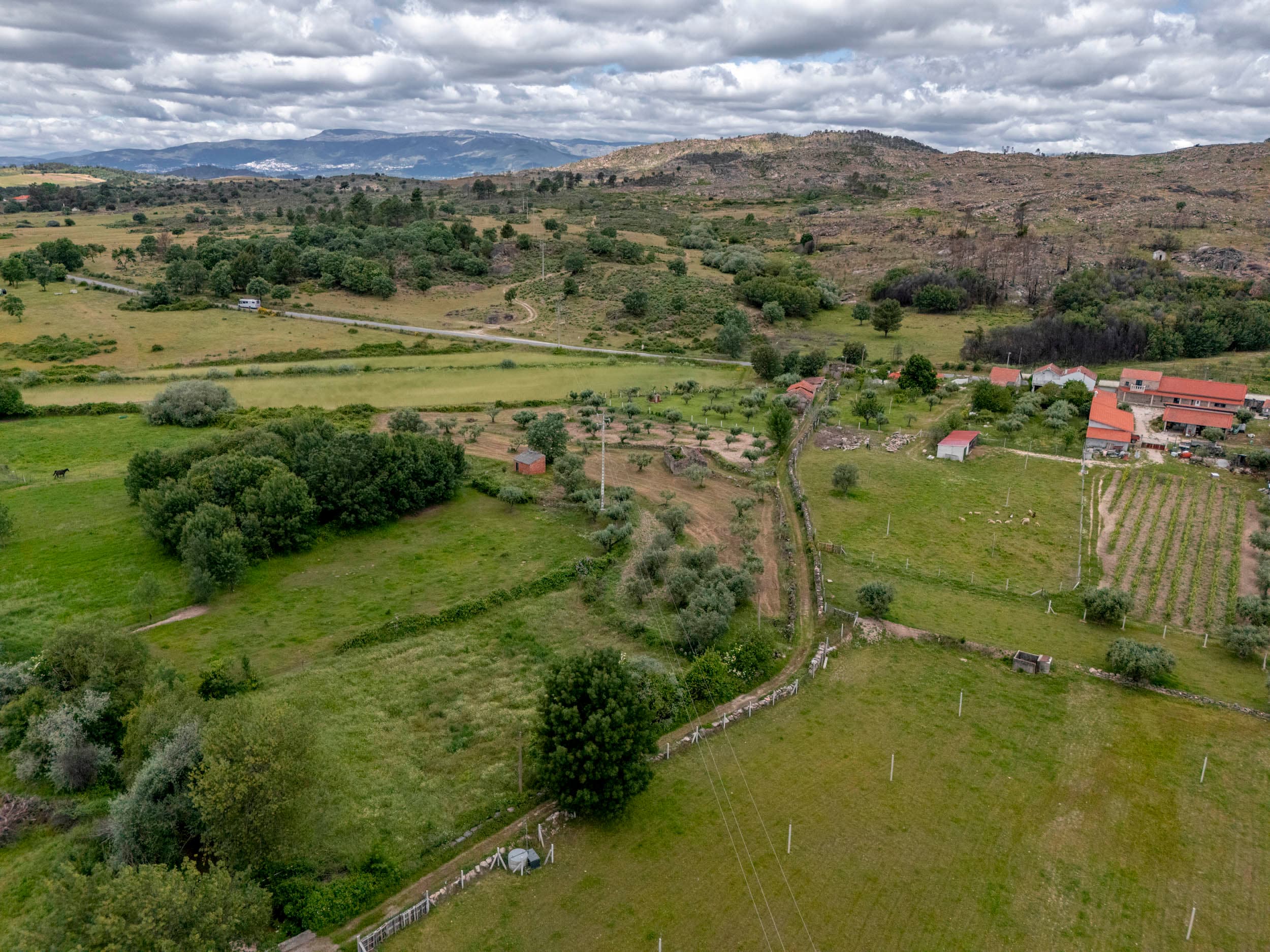 Small Land with Ruin near Sortelha - Image 3