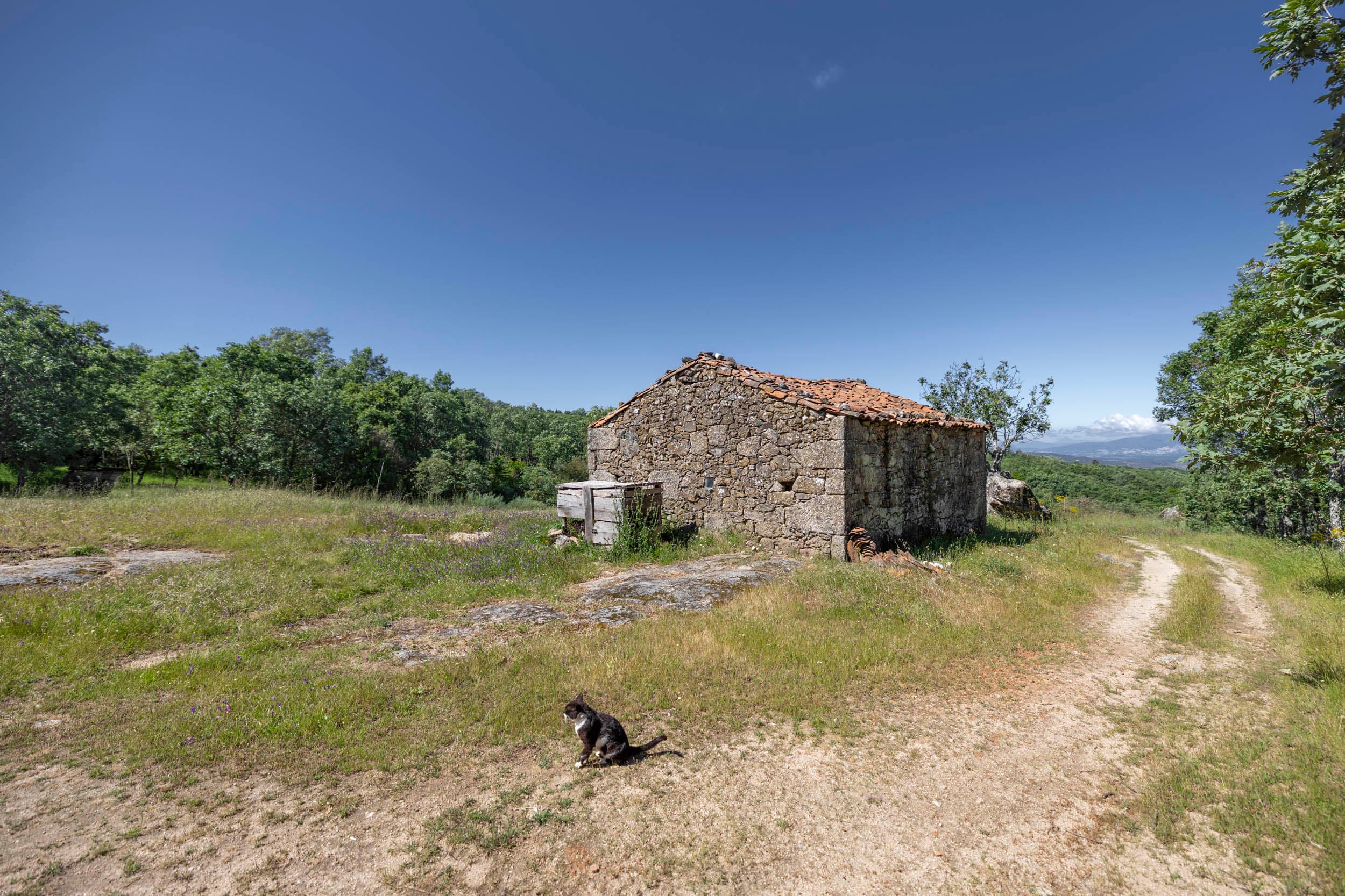 Terreno aislado con ruina y vistas impresionantes - Image 1