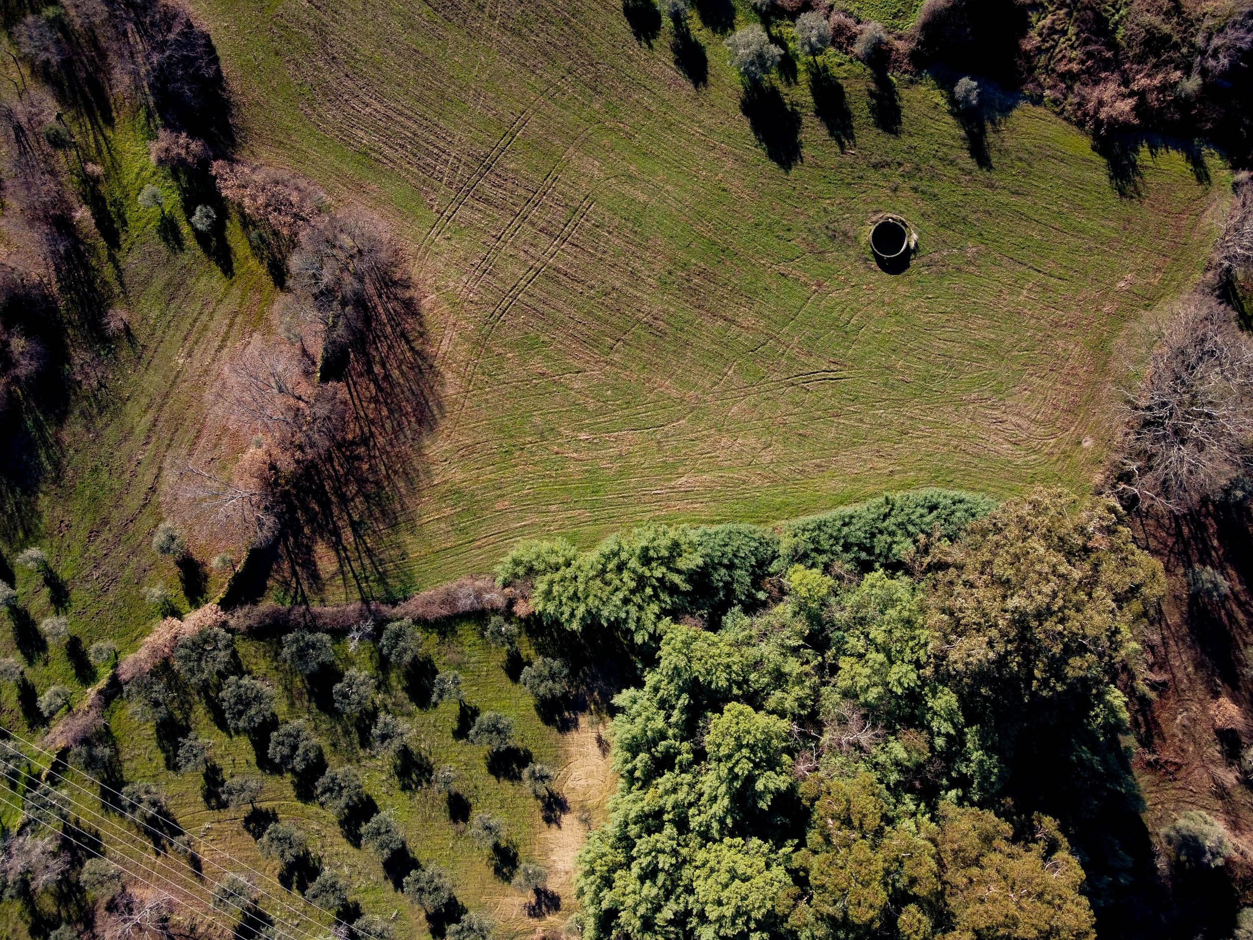 1 ha of tranquil land with alot of water. - Image 21