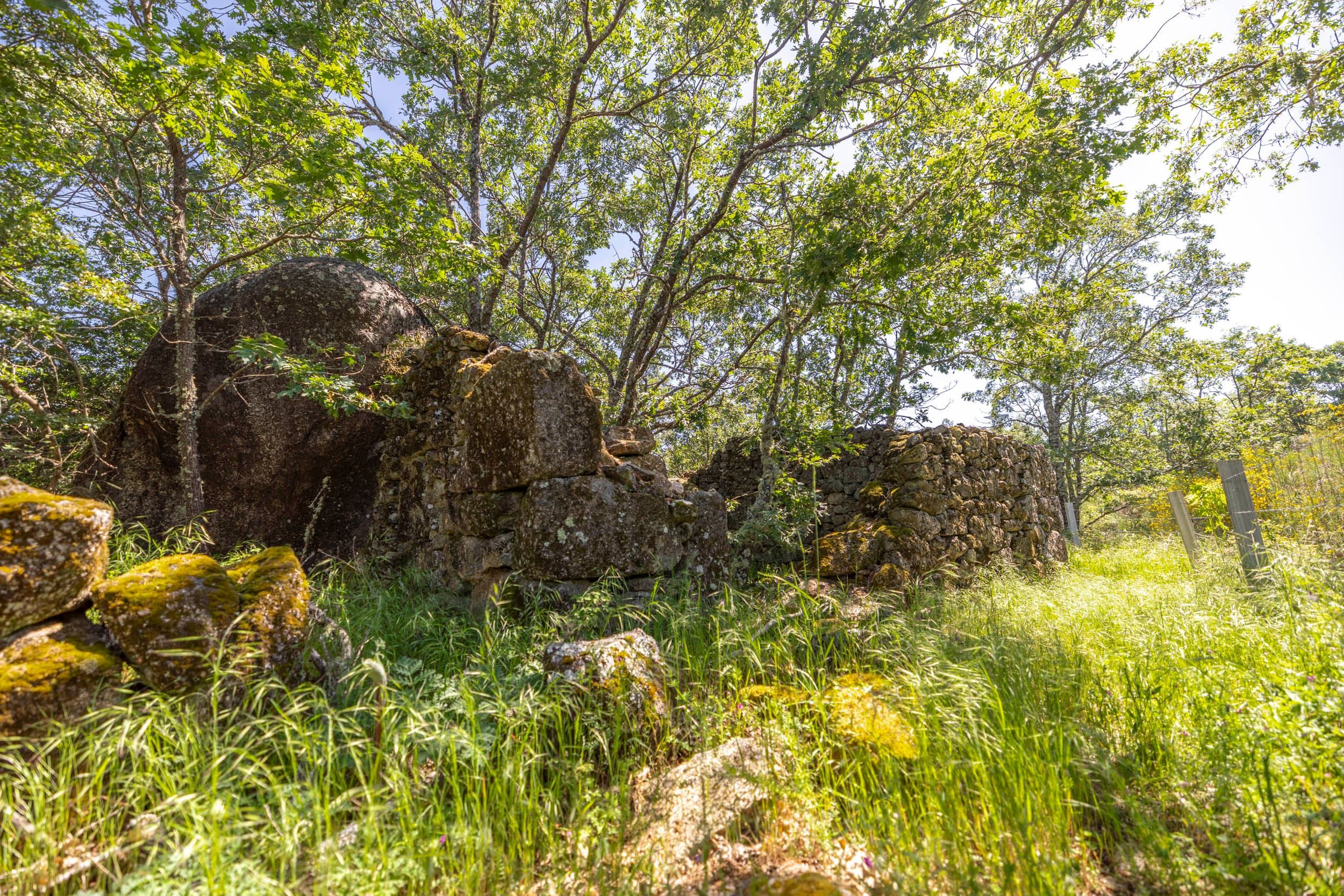 Finca con 2 Ruinas y Bosque - Image 17