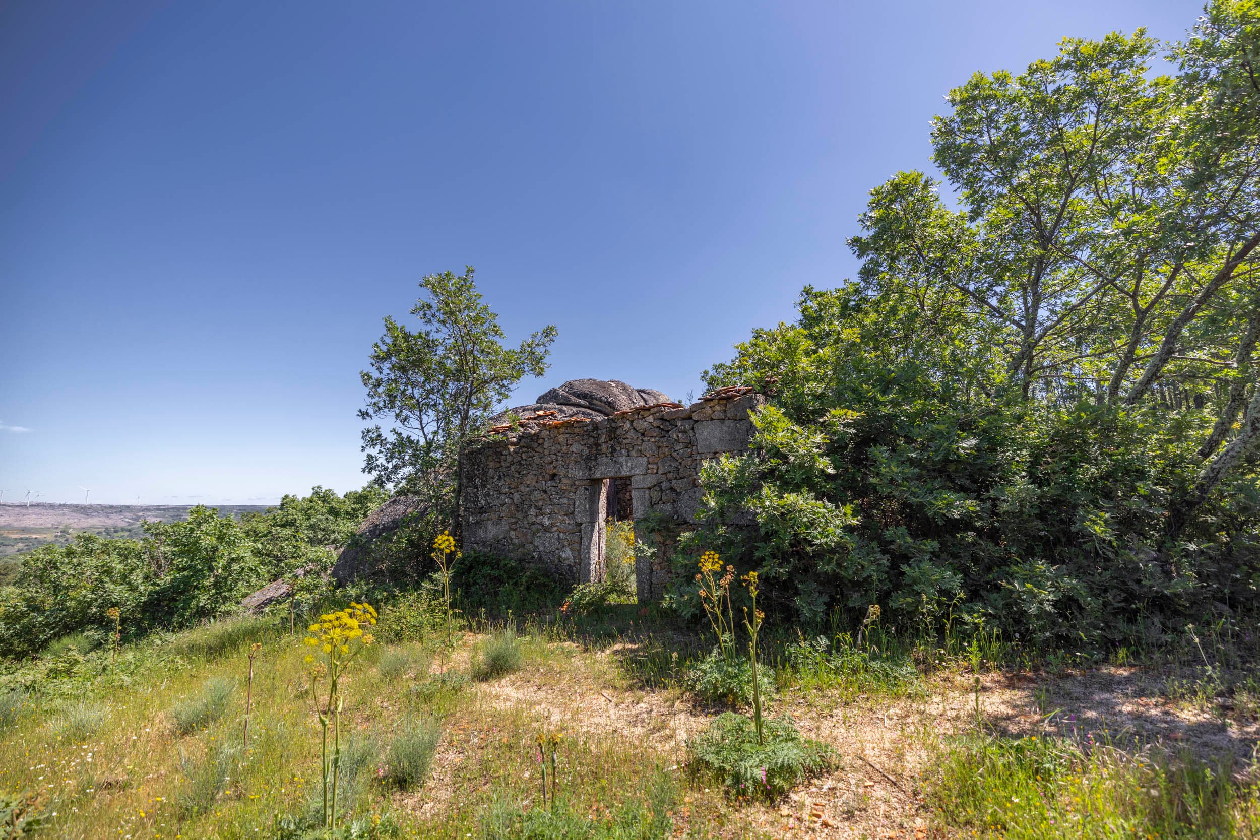 Finca con 2 Ruinas y Bosque