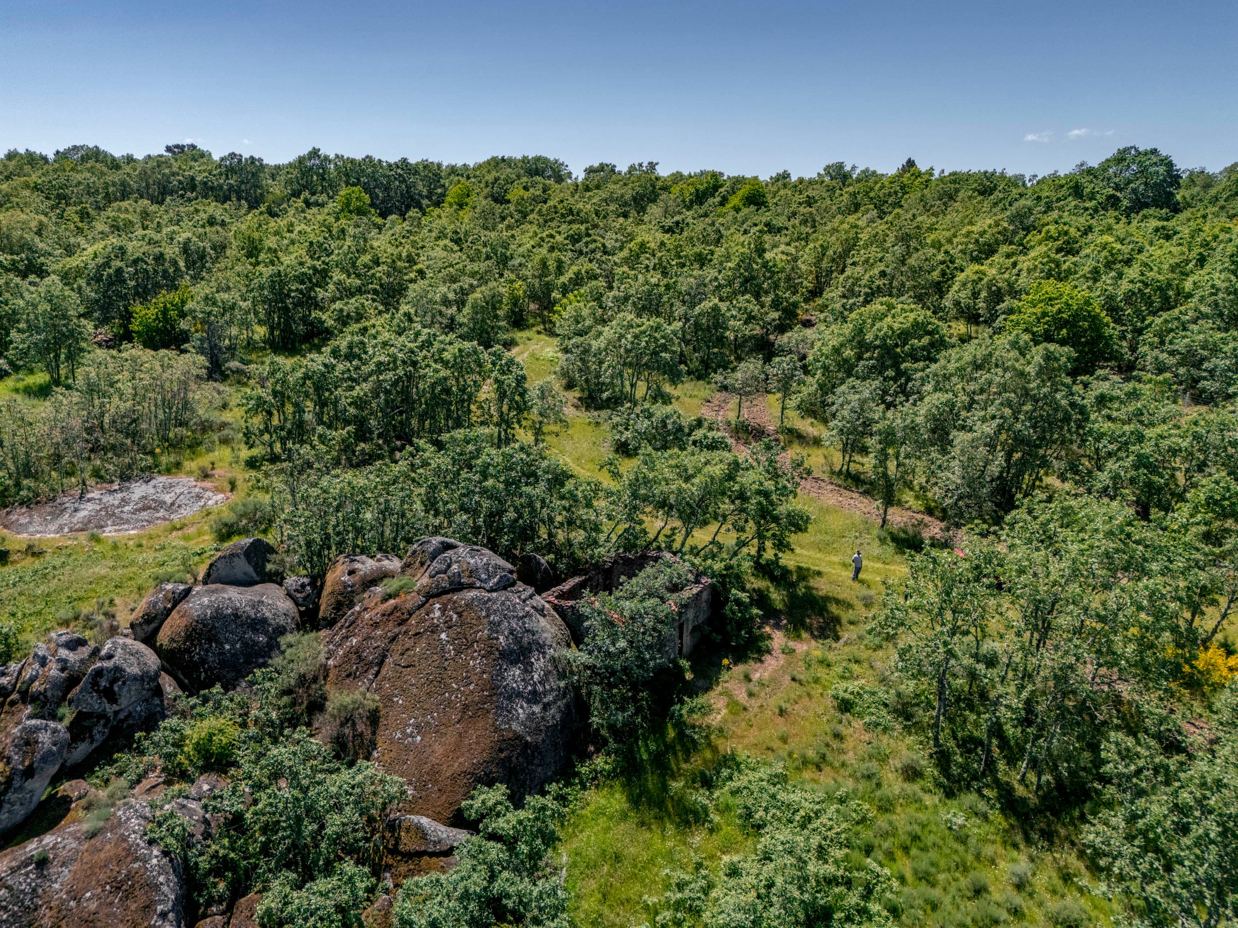 Finca con 2 Ruinas y Bosque - Image 1