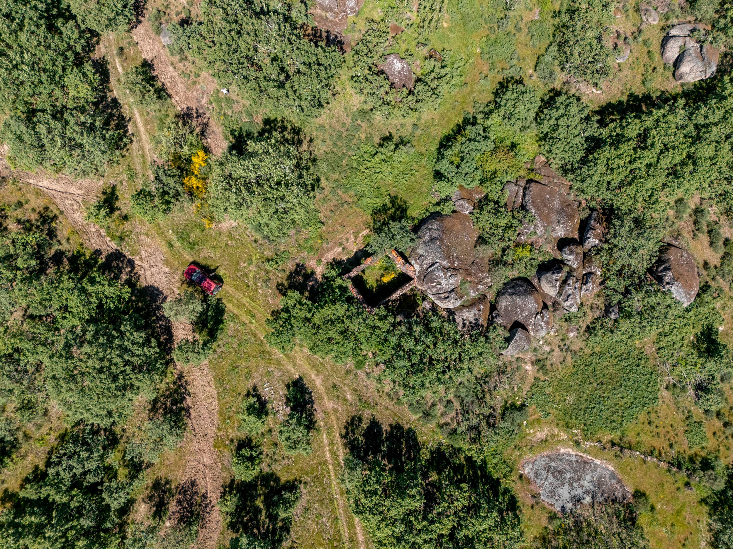 Finca con 2 Ruinas y Bosque - Image 2