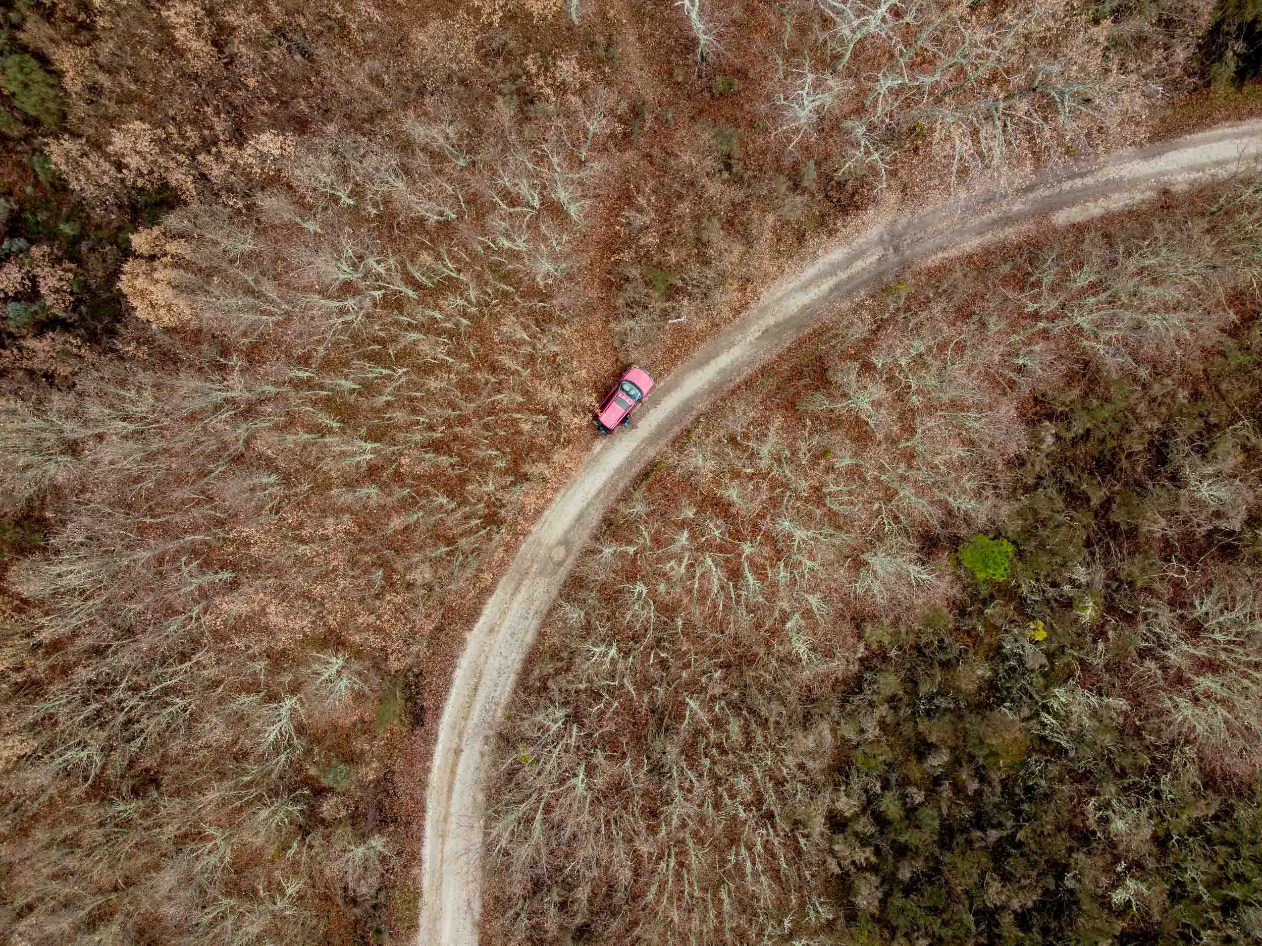 House between Forest and Open Hills - Image 18