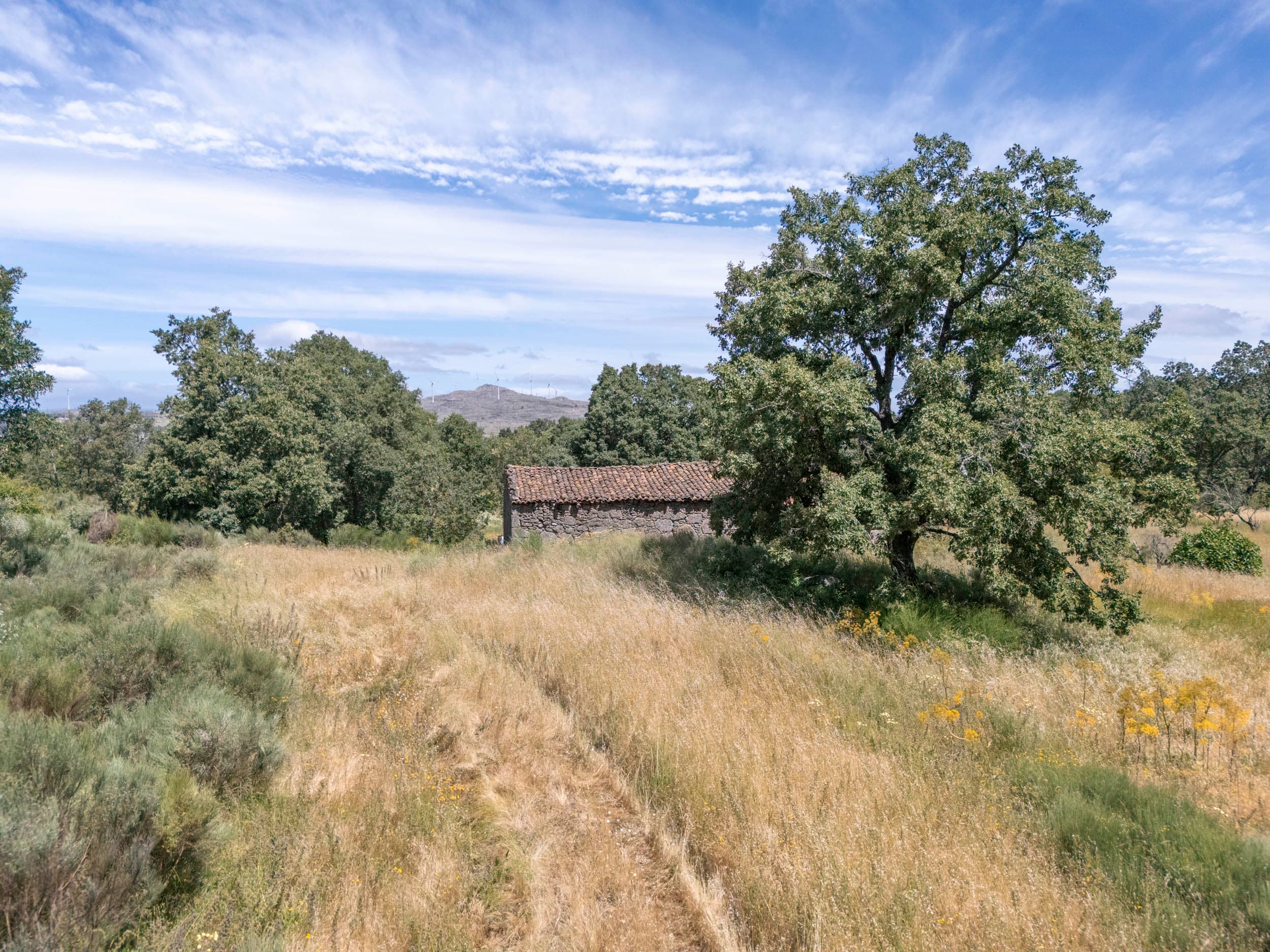 19ha with Old Stonehouse and Oak Forest - Image 10