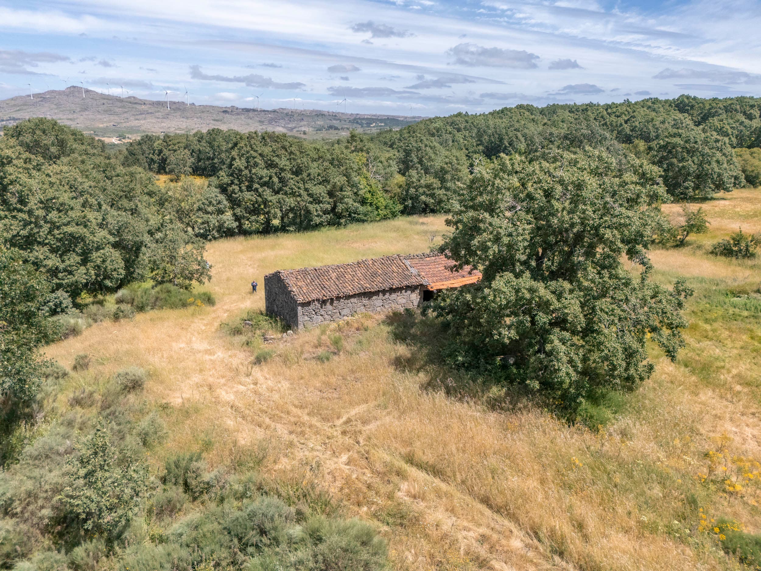 19ha with Old Stonehouse and Oak Forest - Image 11