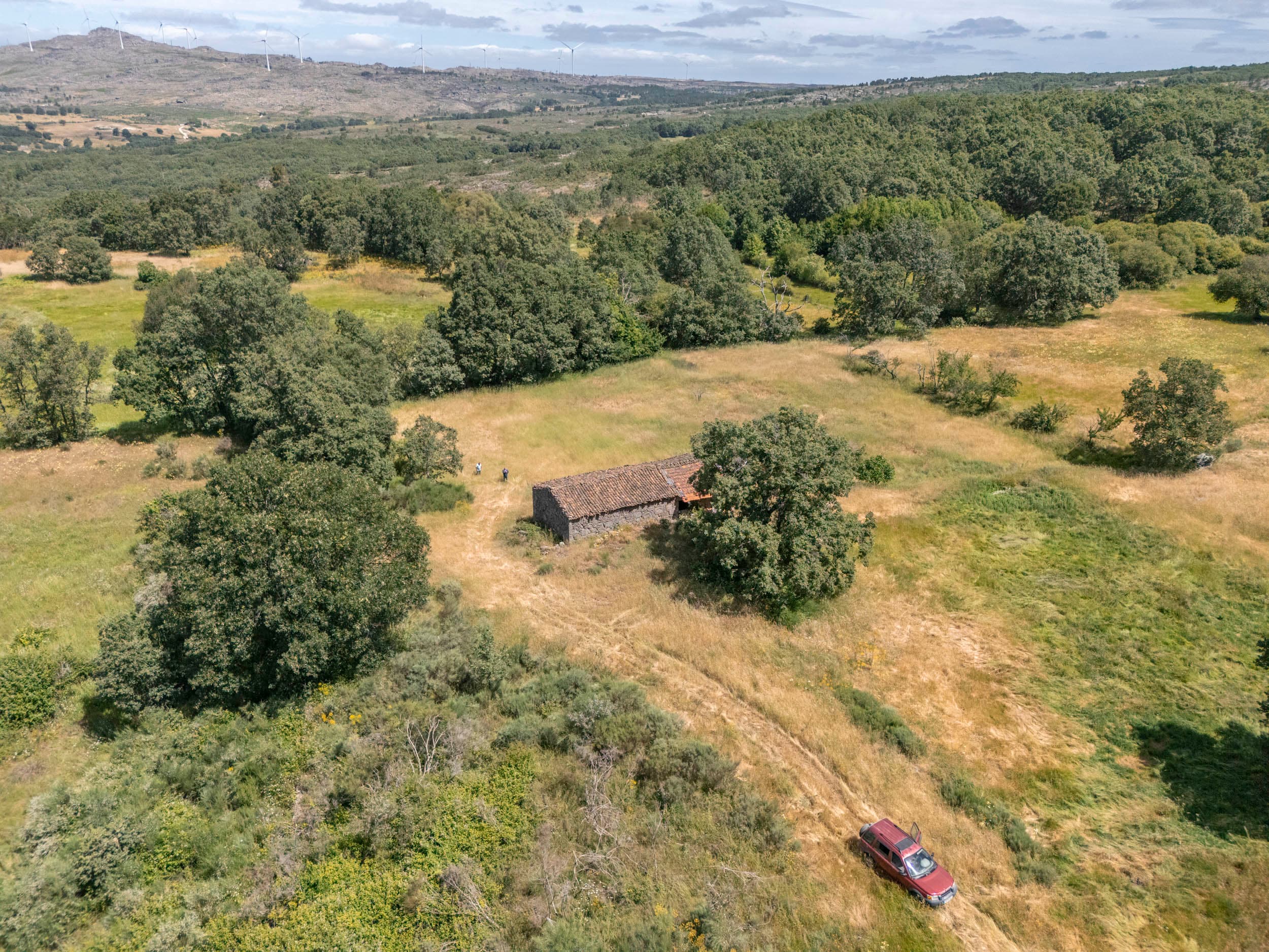 19ha with Old Stonehouse and Oak Forest