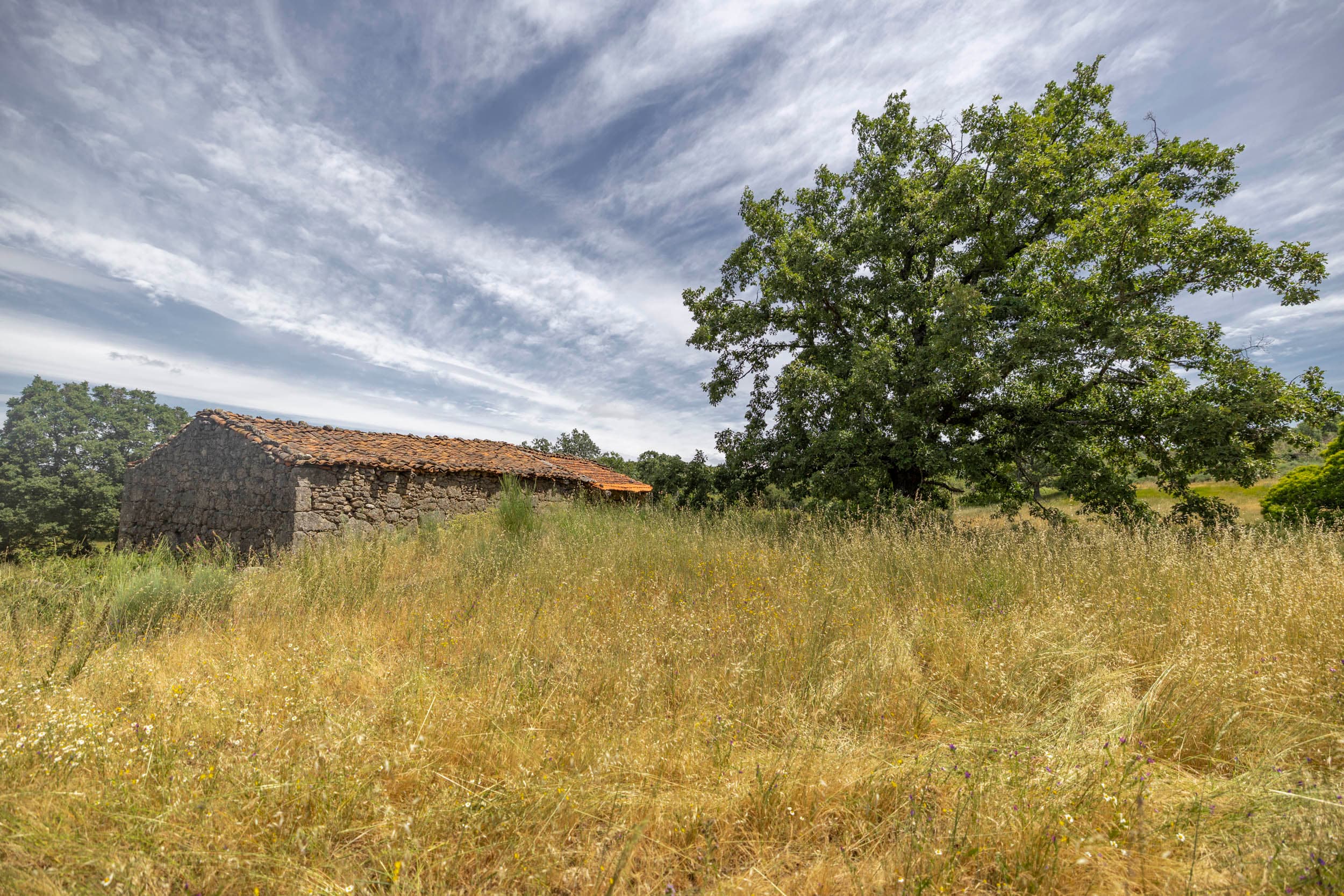 19ha with Old Stonehouse and Oak Forest - Image 1