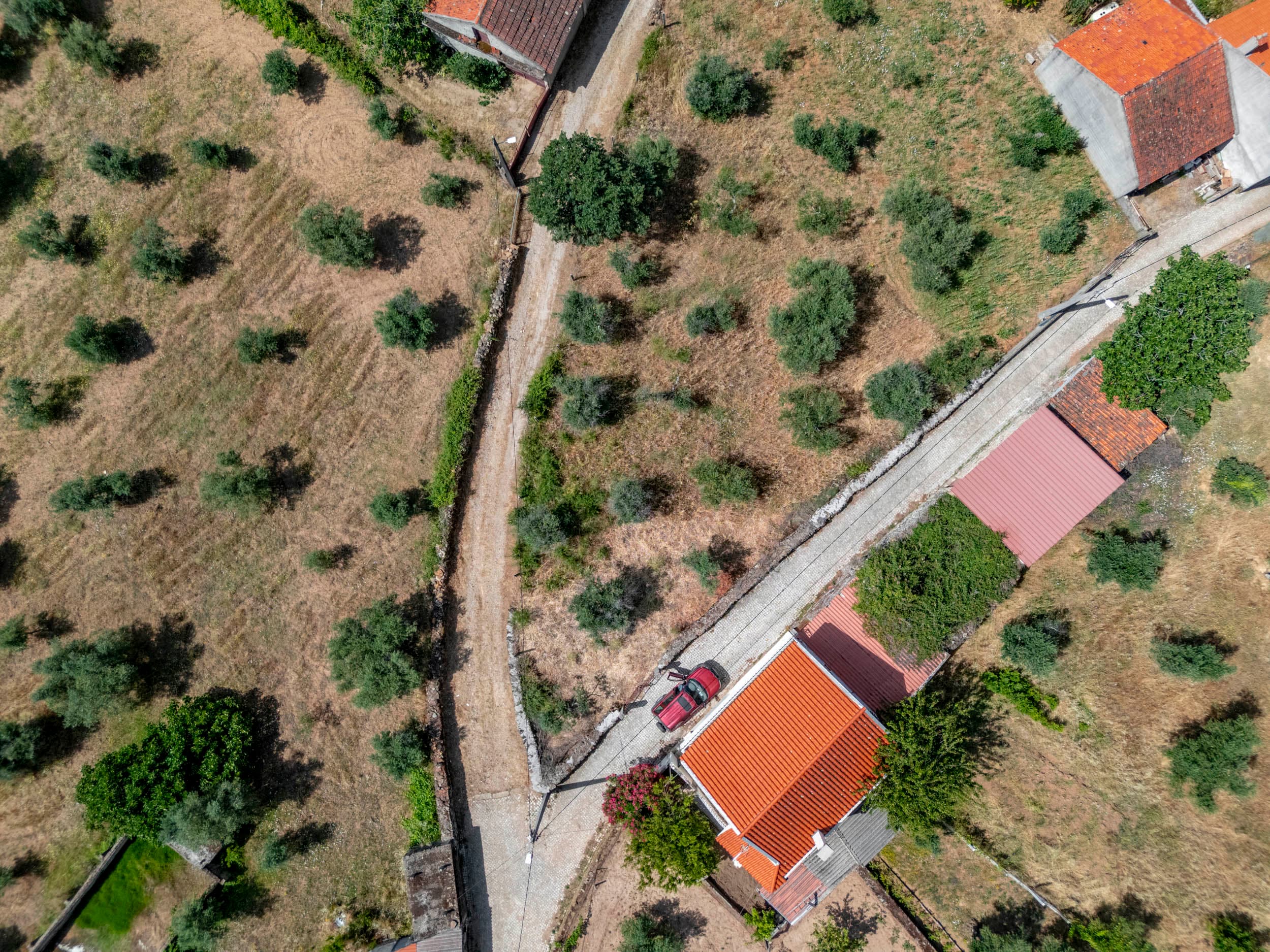 Village House with Garden and Olive Trees - Image 31