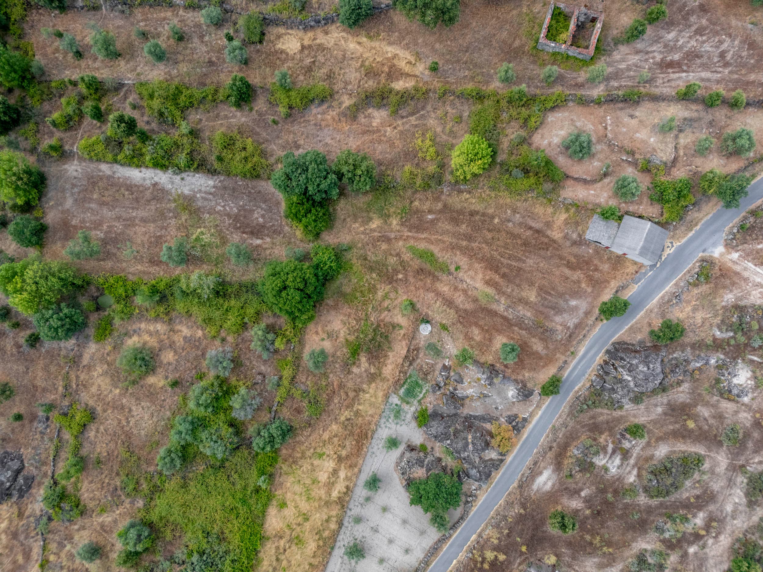 Pequeno Terreno com Armazém em Casteleiro - Image 2