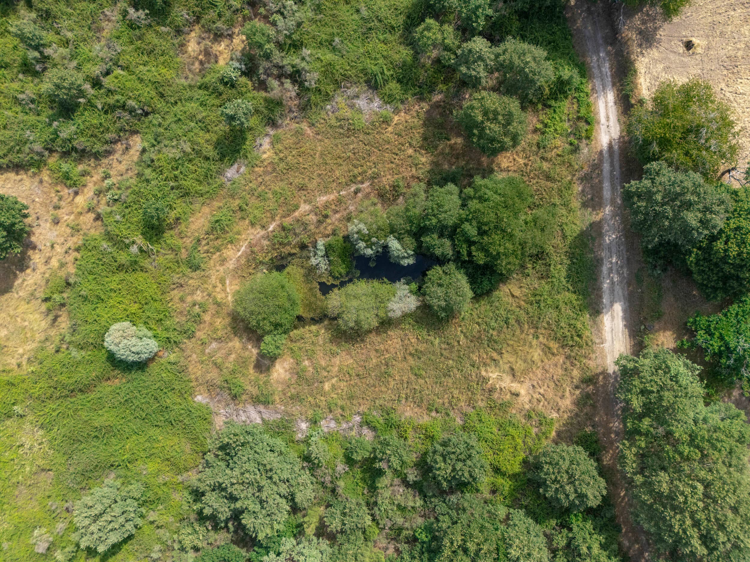 19ha com Casa de Pedra Antiga e Floresta de Carvalho - Image 3