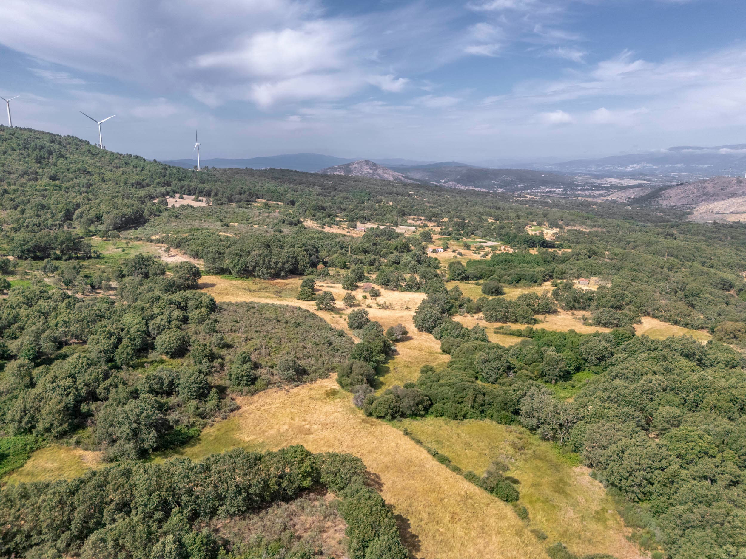 19ha with Old Stonehouse and Oak Forest