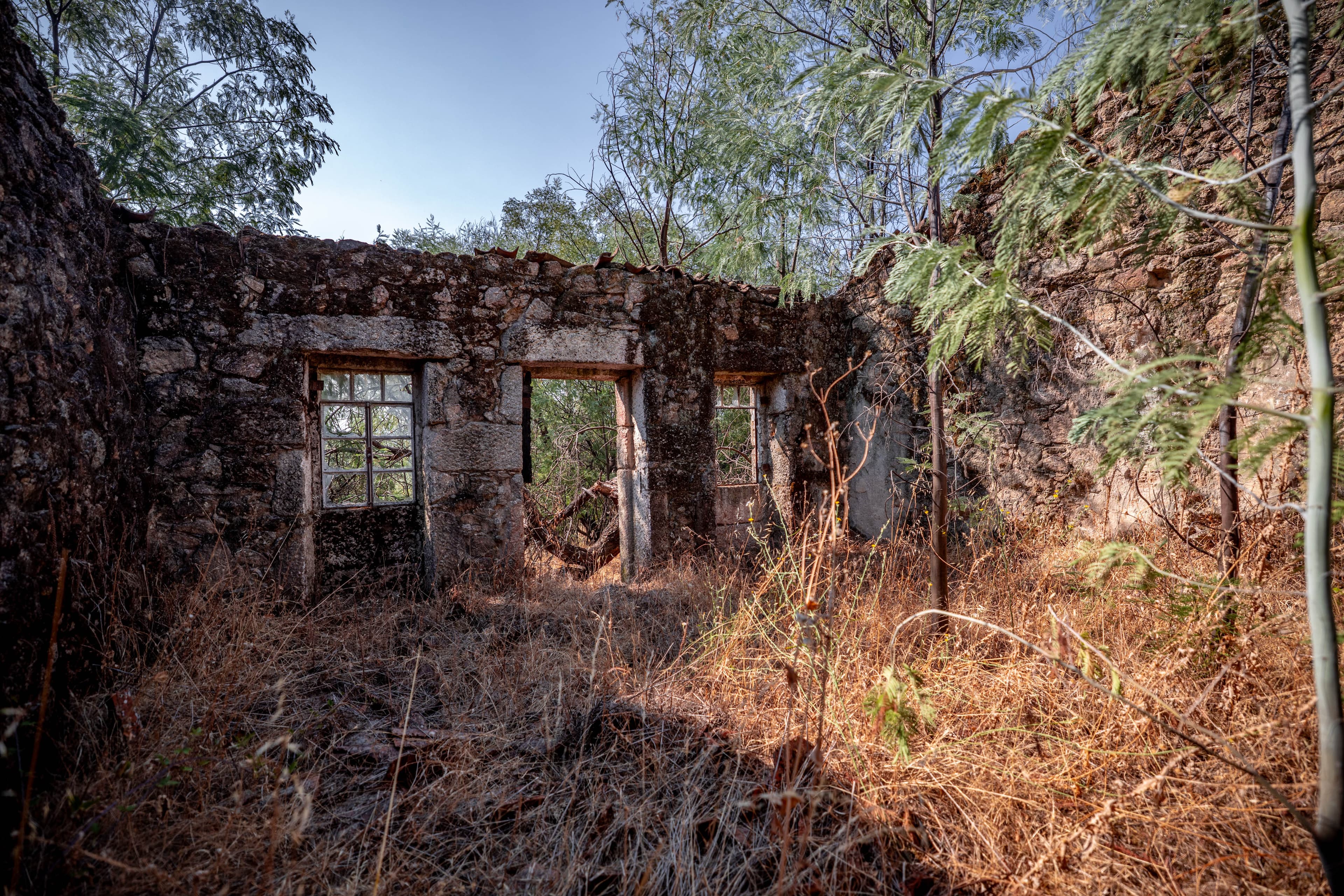 10 ha in the middle of nature with a big ruin