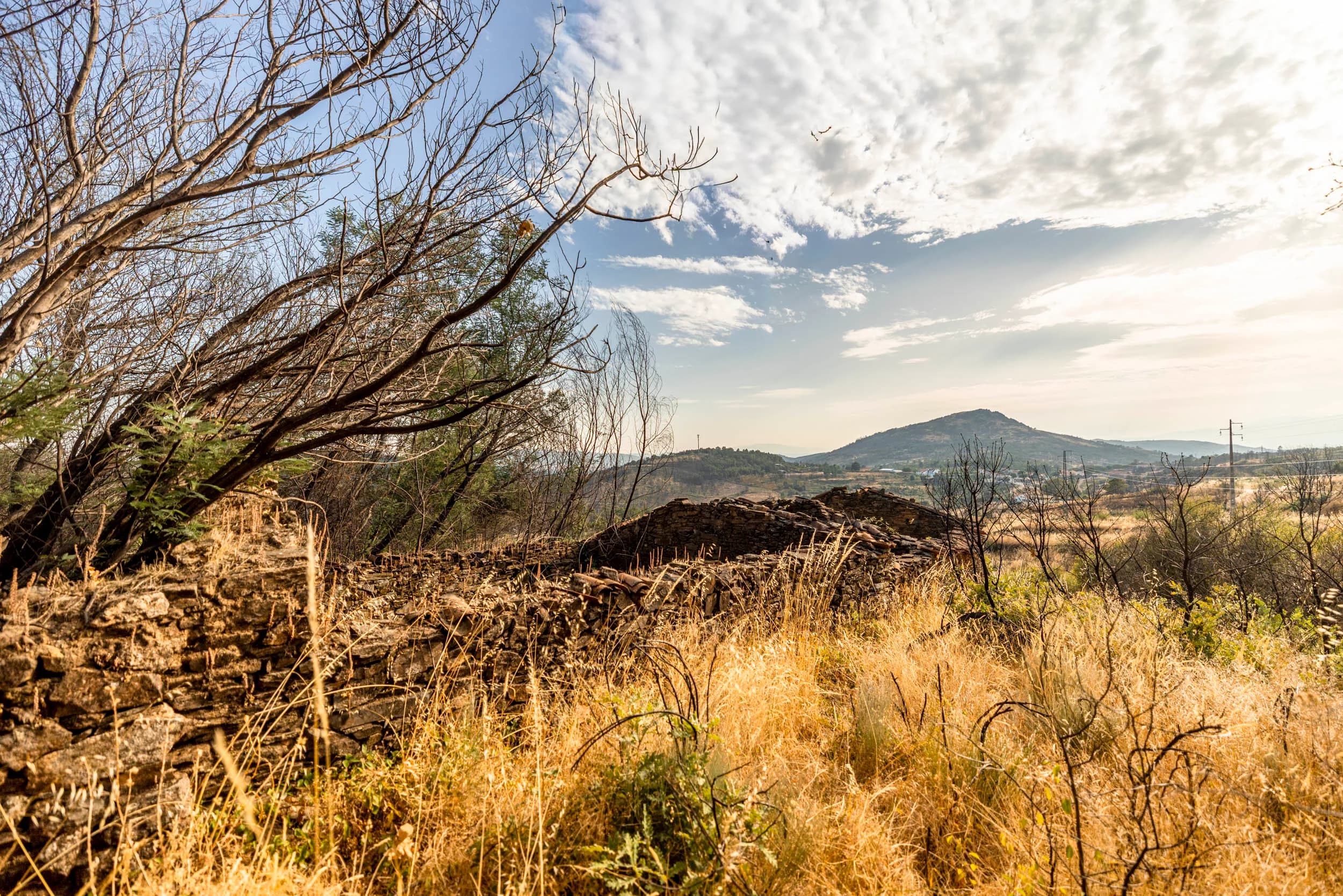 12.000m² mit großer Ruine und atemberaubendem Blick - Image 3