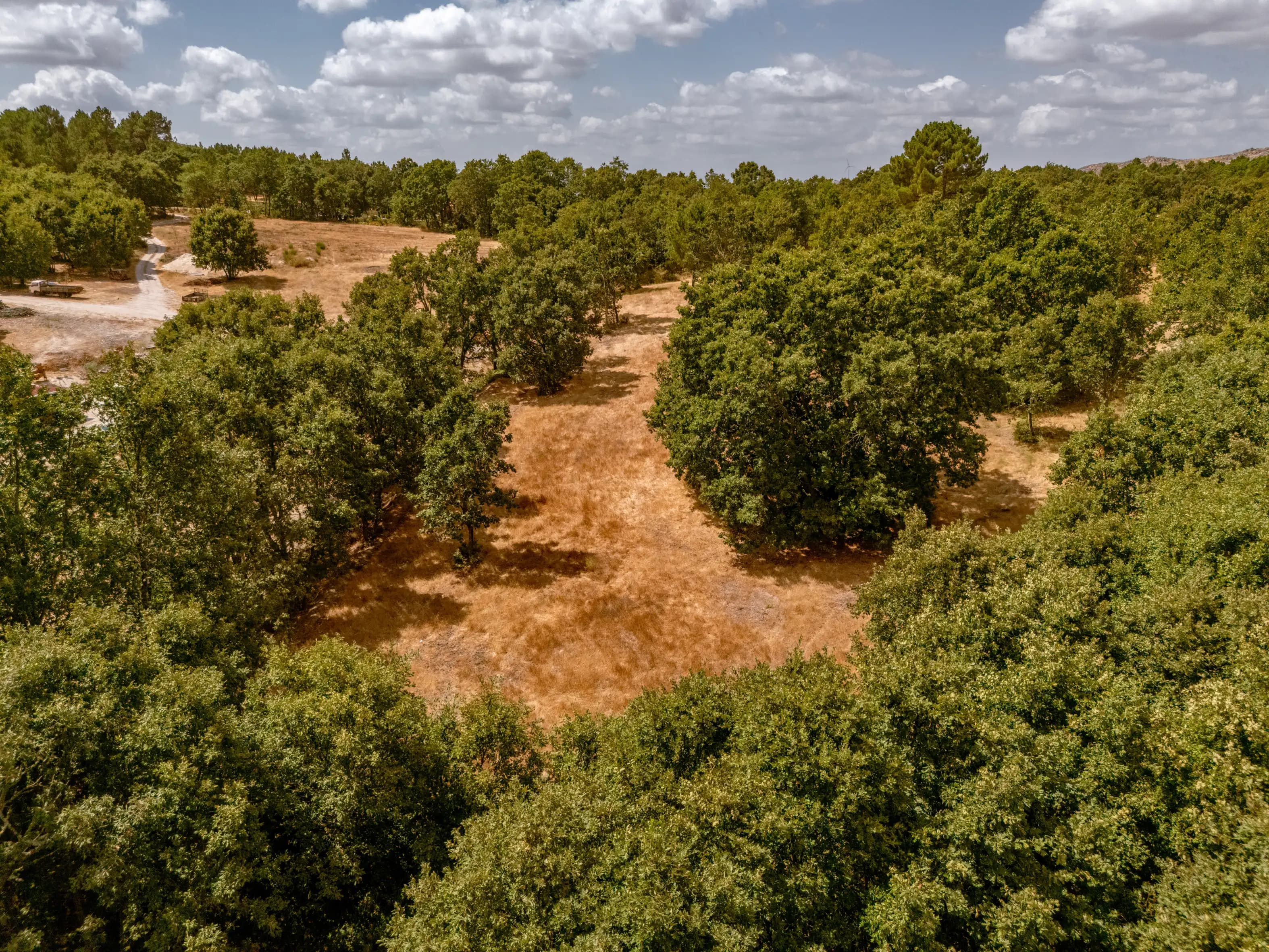 Terrain de deux hectares à quelques pas de Sabugal. - Image 35