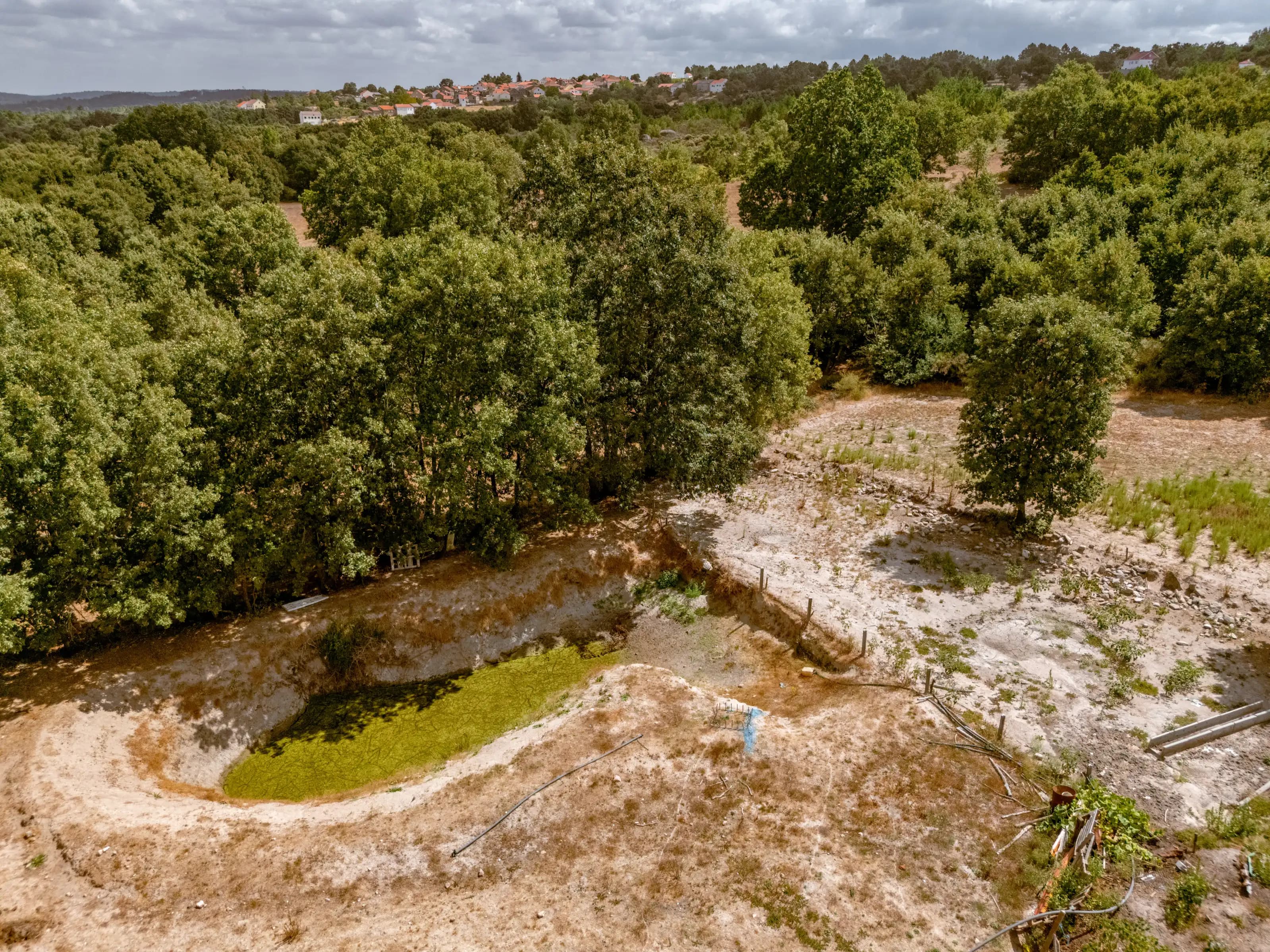 Terrain de deux hectares à quelques pas de Sabugal. - Image 34