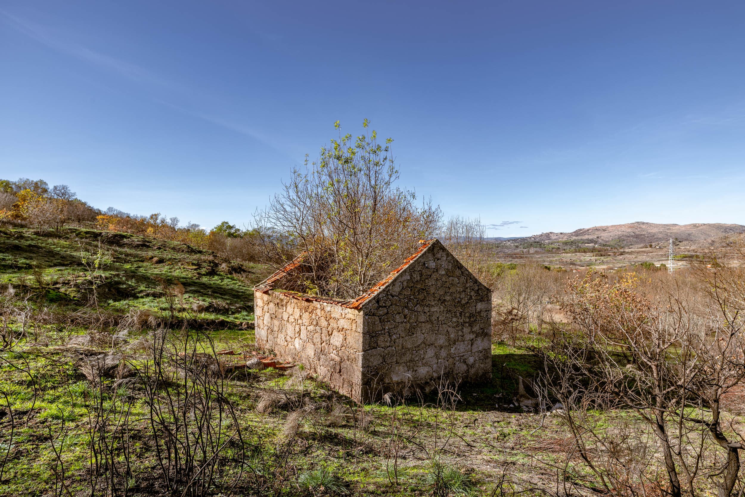 Entrada de Teste — Não é uma Propriedade Real