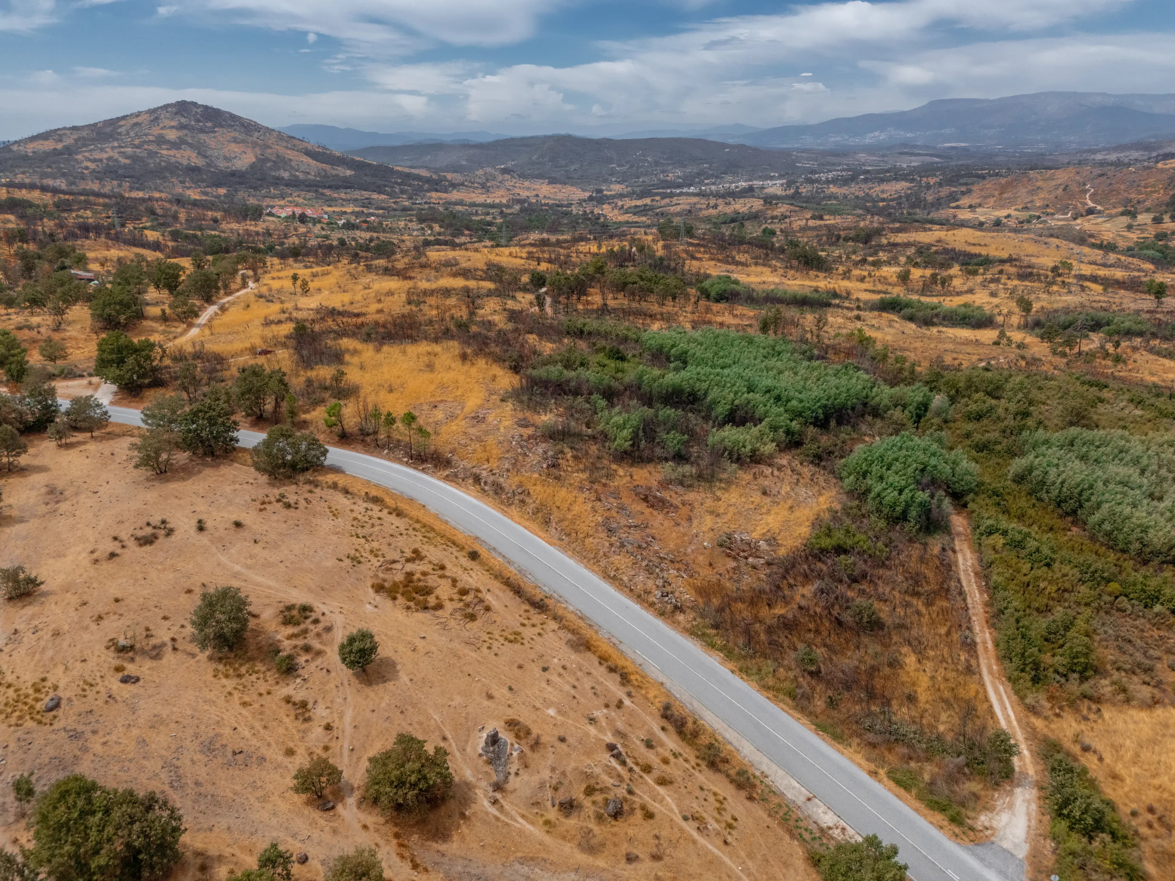 Terreno Rustico di 3,3 ha vicino a Moita, Sabugal - Image 8