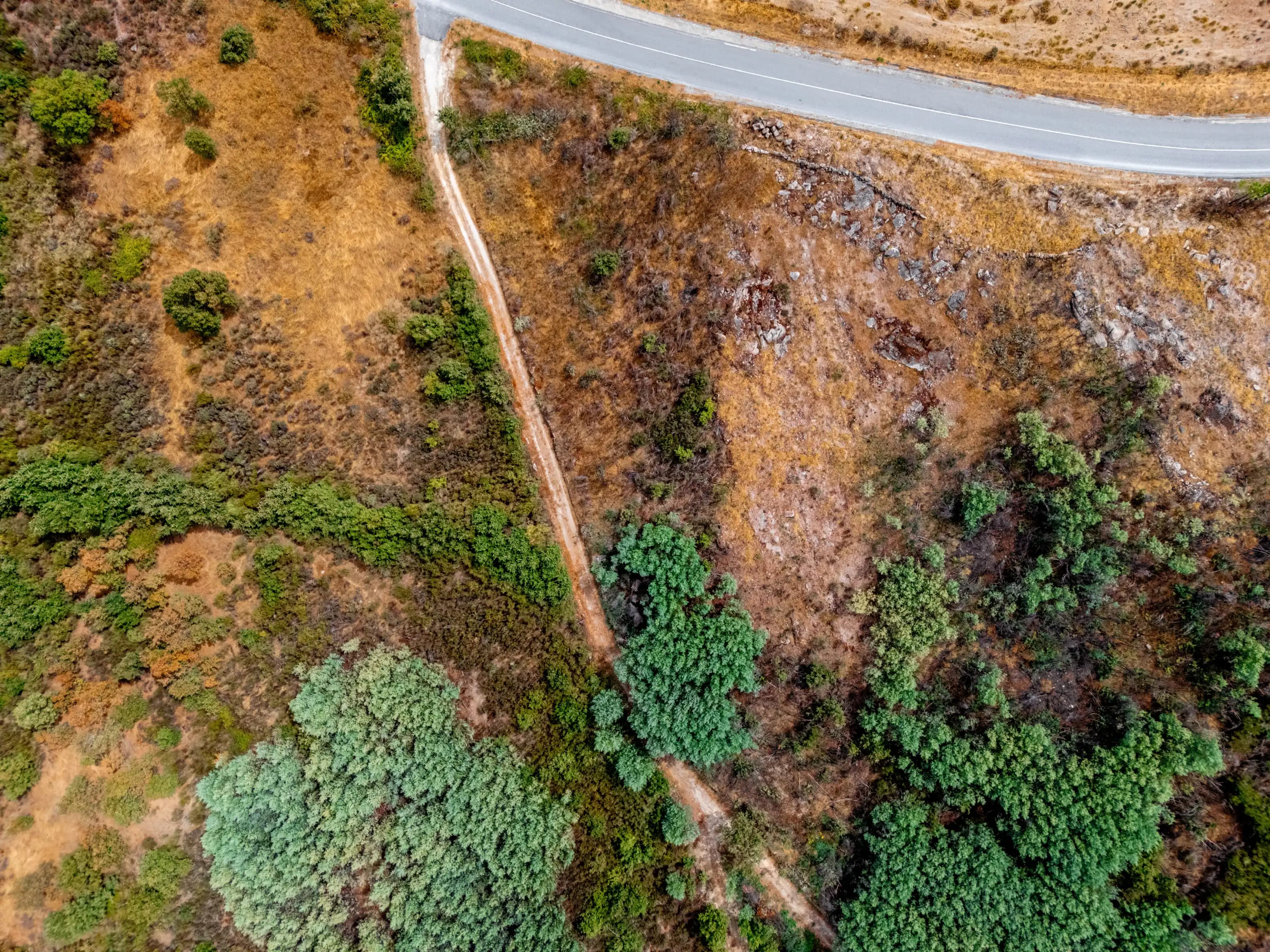 Terreno Rustico di 3,3 ha vicino a Moita, Sabugal - Image 3
