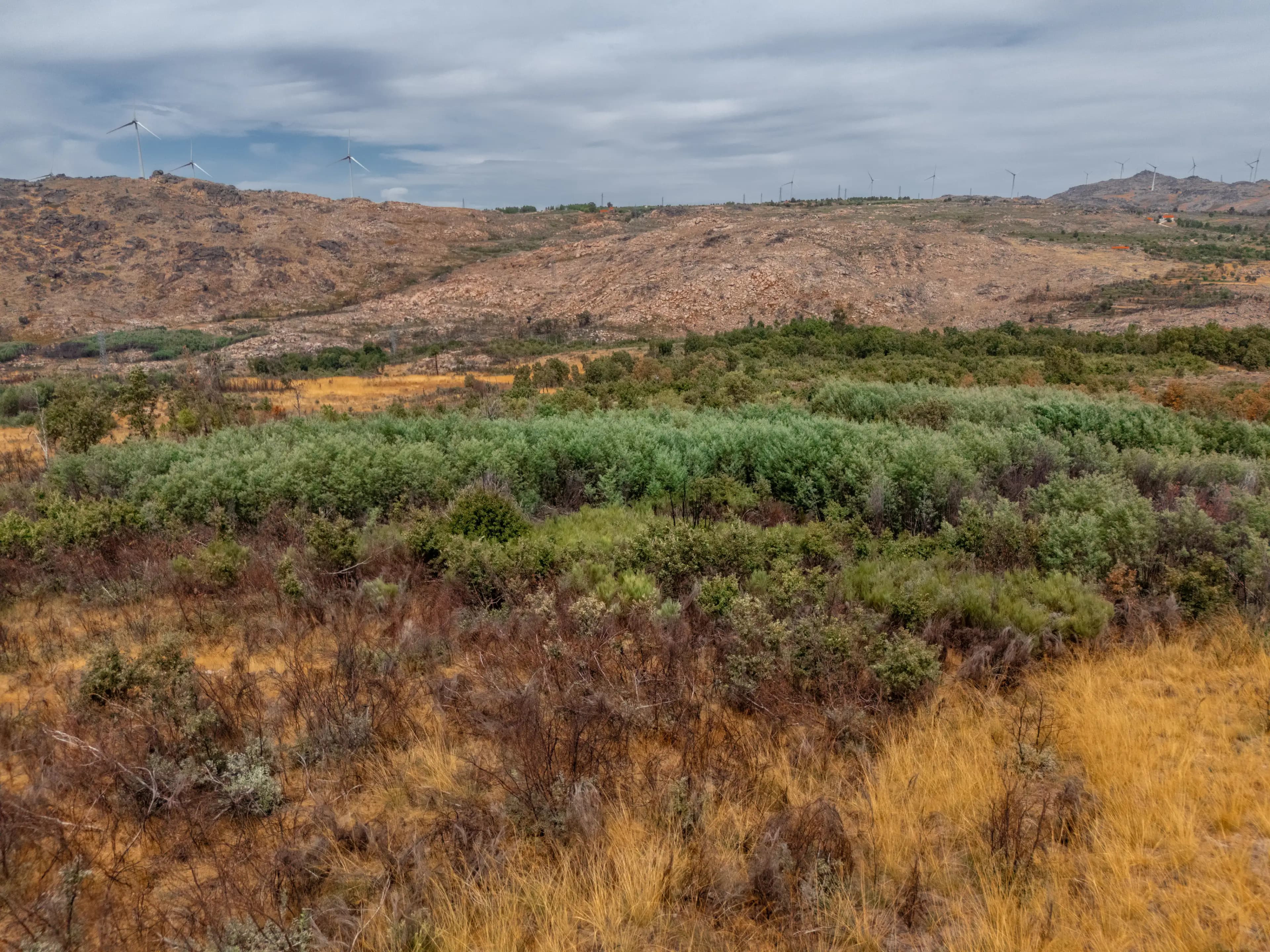 Terreno Rustico di 3,3 ha vicino a Moita, Sabugal - Image 1