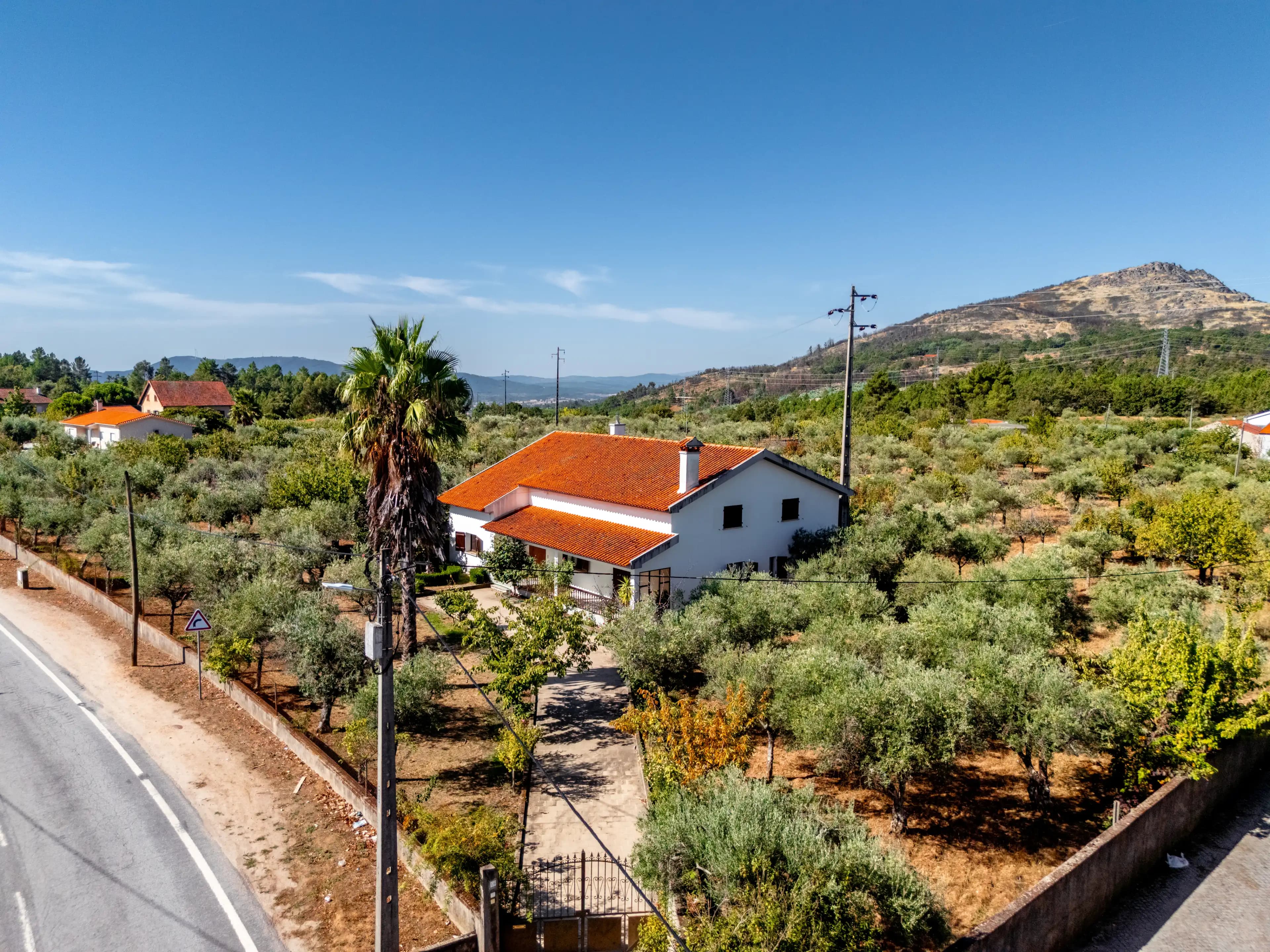 Casa T3 con Ampio Giardino di Ulivi e Frutteti