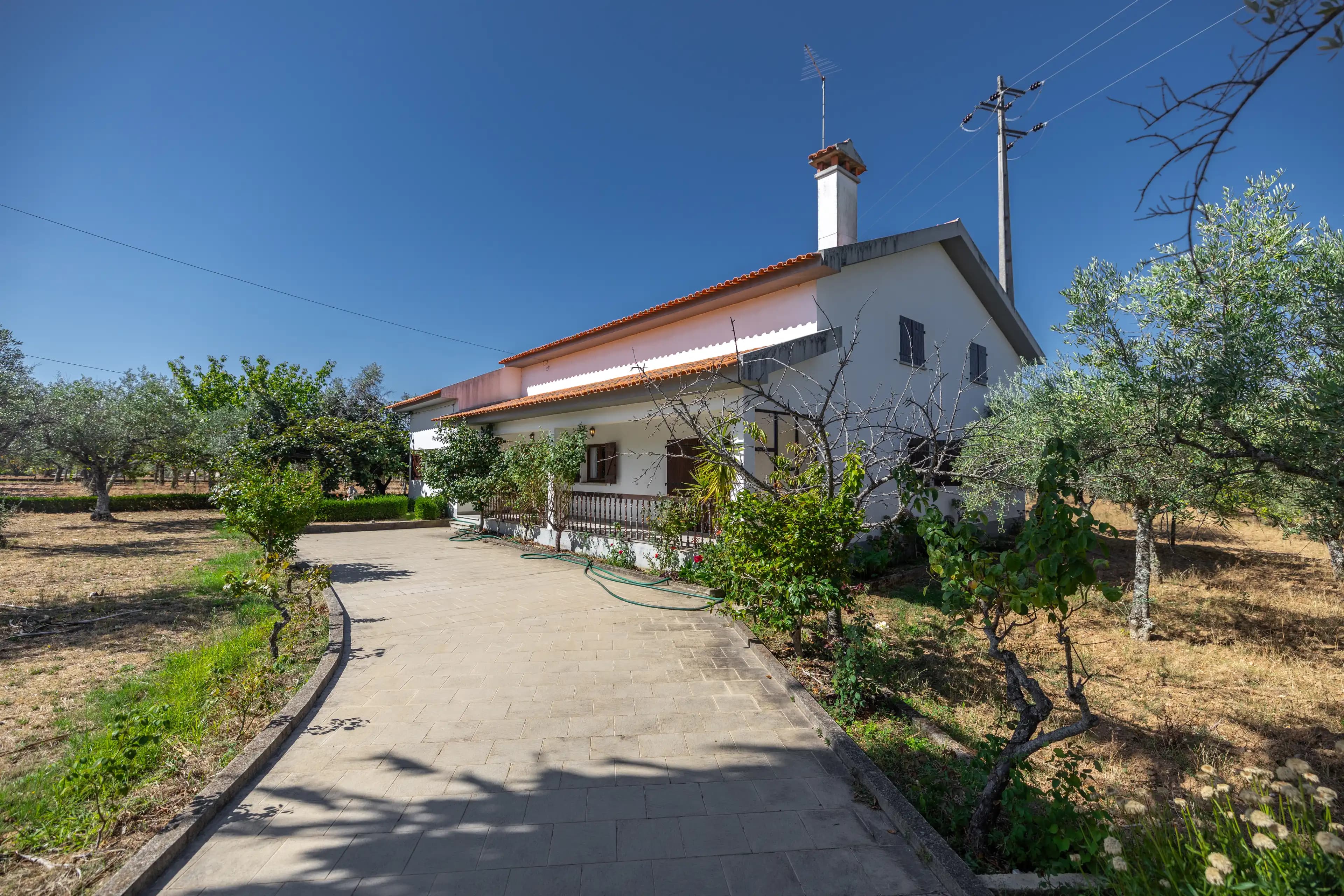 Casa T3 con Ampio Giardino di Ulivi e Frutteti - Image 3