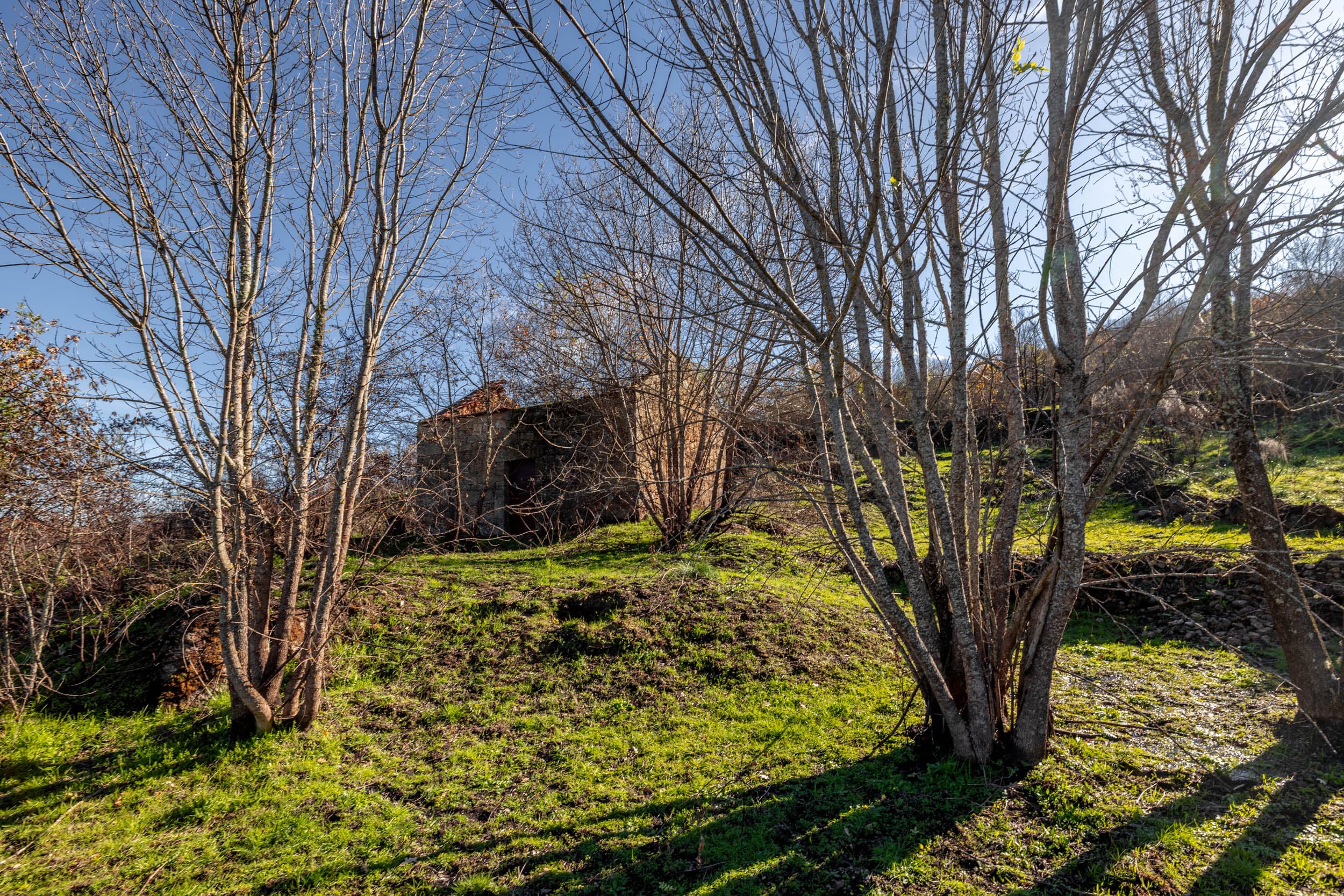 Entrada de Teste — Não é uma Propriedade Real - Image 2