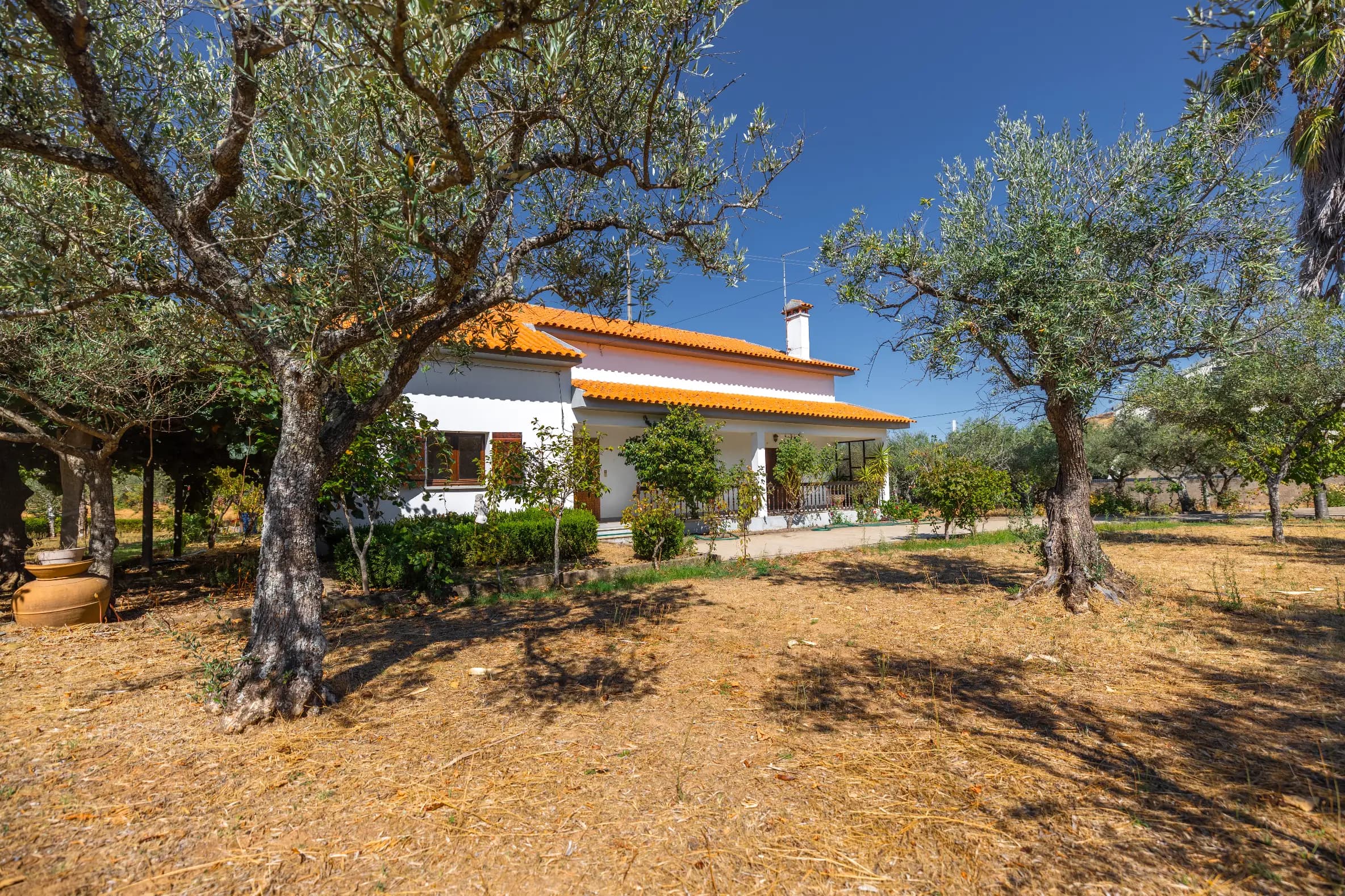 Casa T3 con Ampio Giardino di Ulivi e Frutteti - Image 1