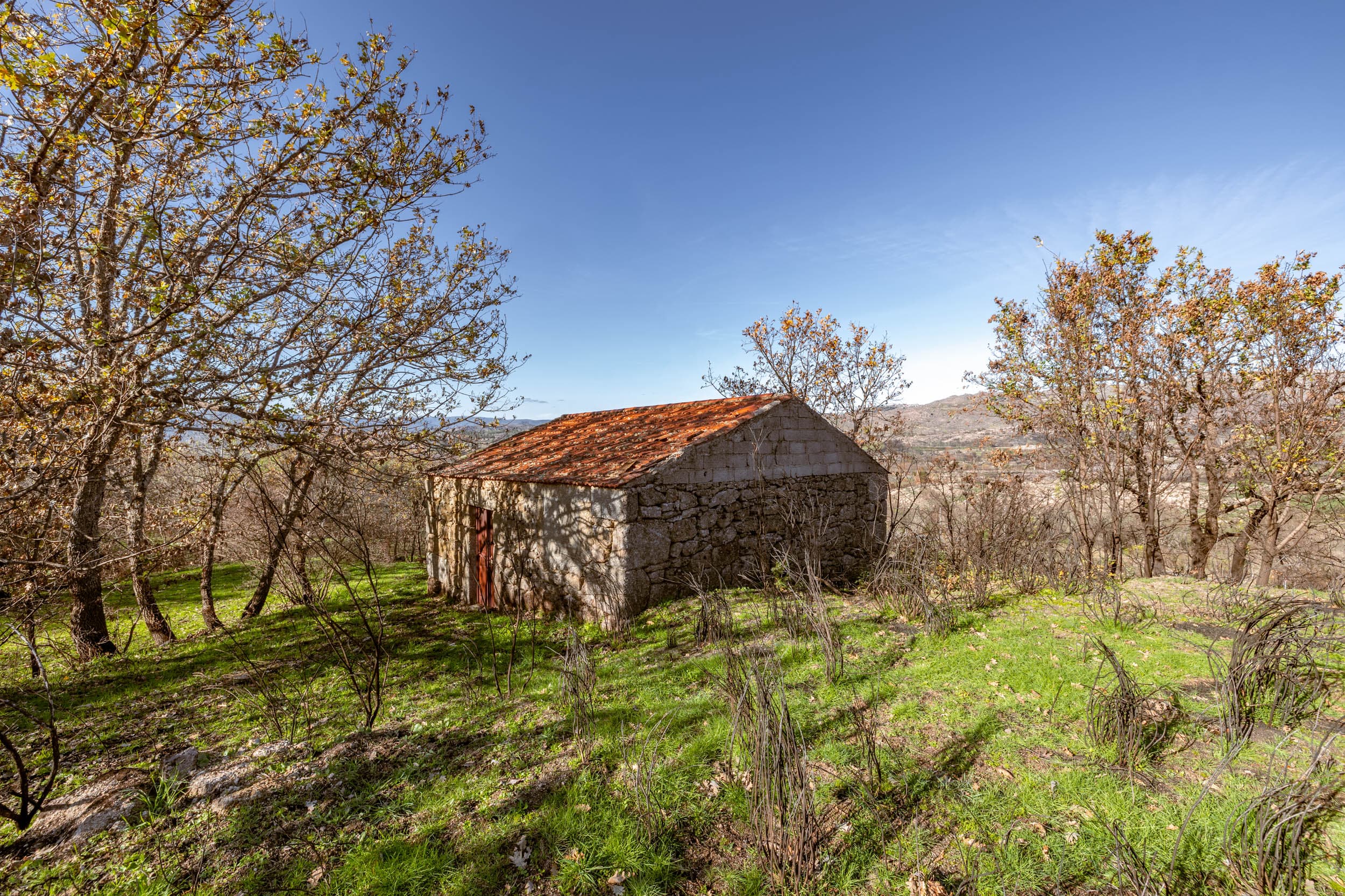 Entrada de Teste — Não é uma Propriedade Real - Image 3