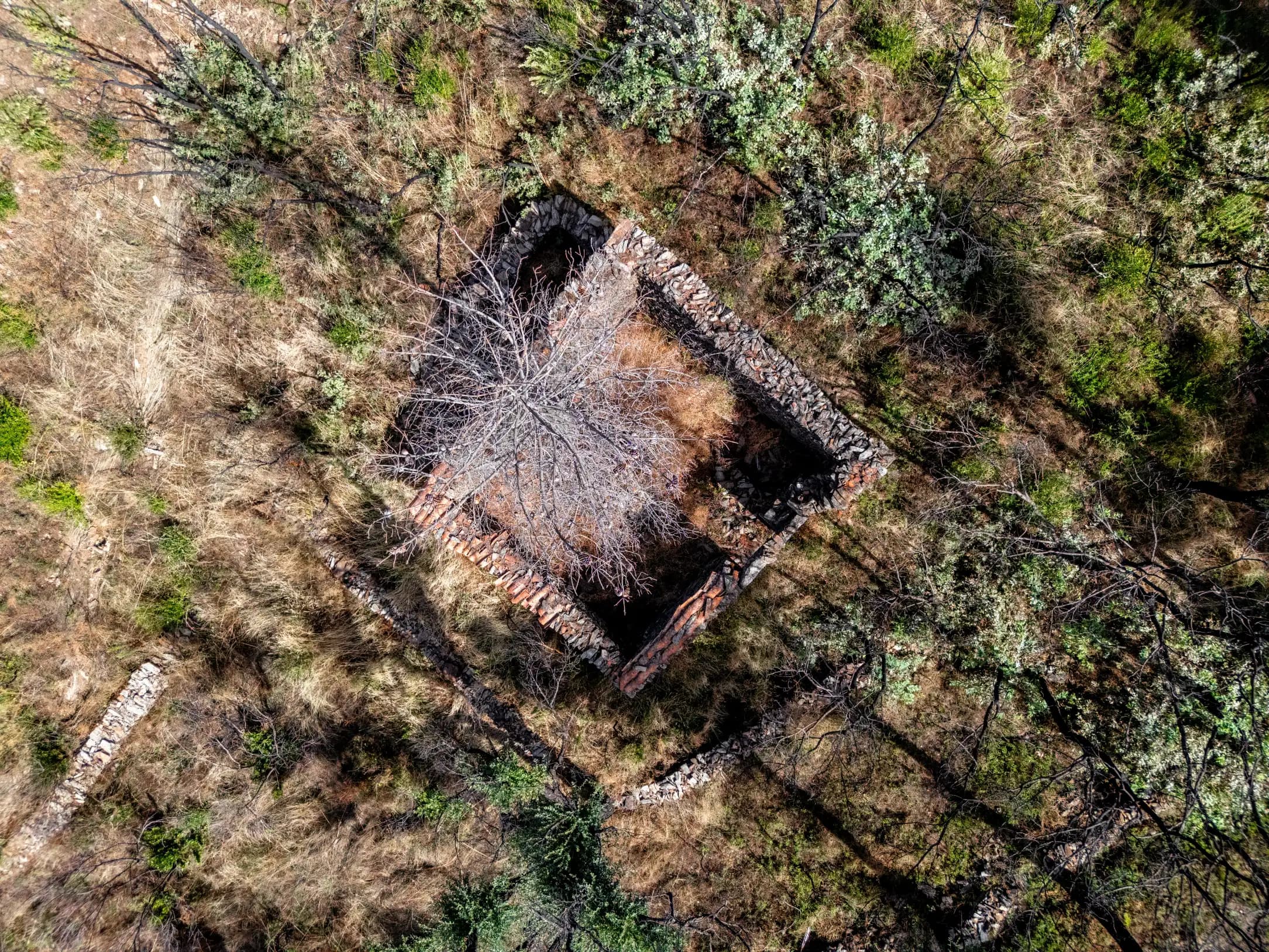 11 ha Rustic Land with Ruin in the forest - Image 1