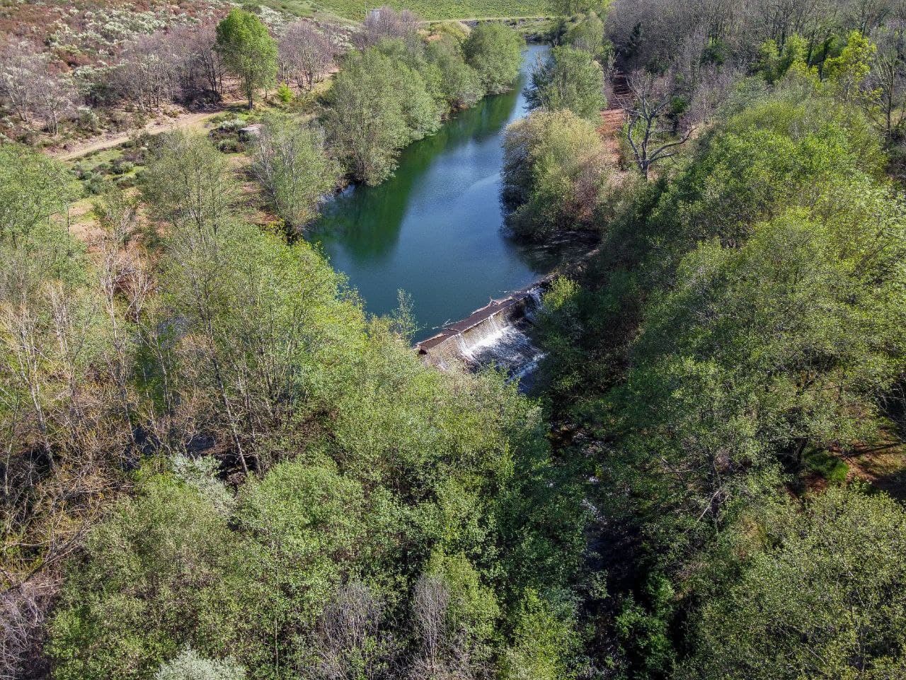 A Serene 14ha Farm Near Sabugal, bordered by a River - Image 2