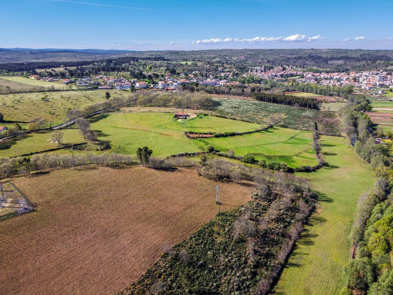 A Serene 14ha Farm Near Sabugal, bordered by a River - Image 1