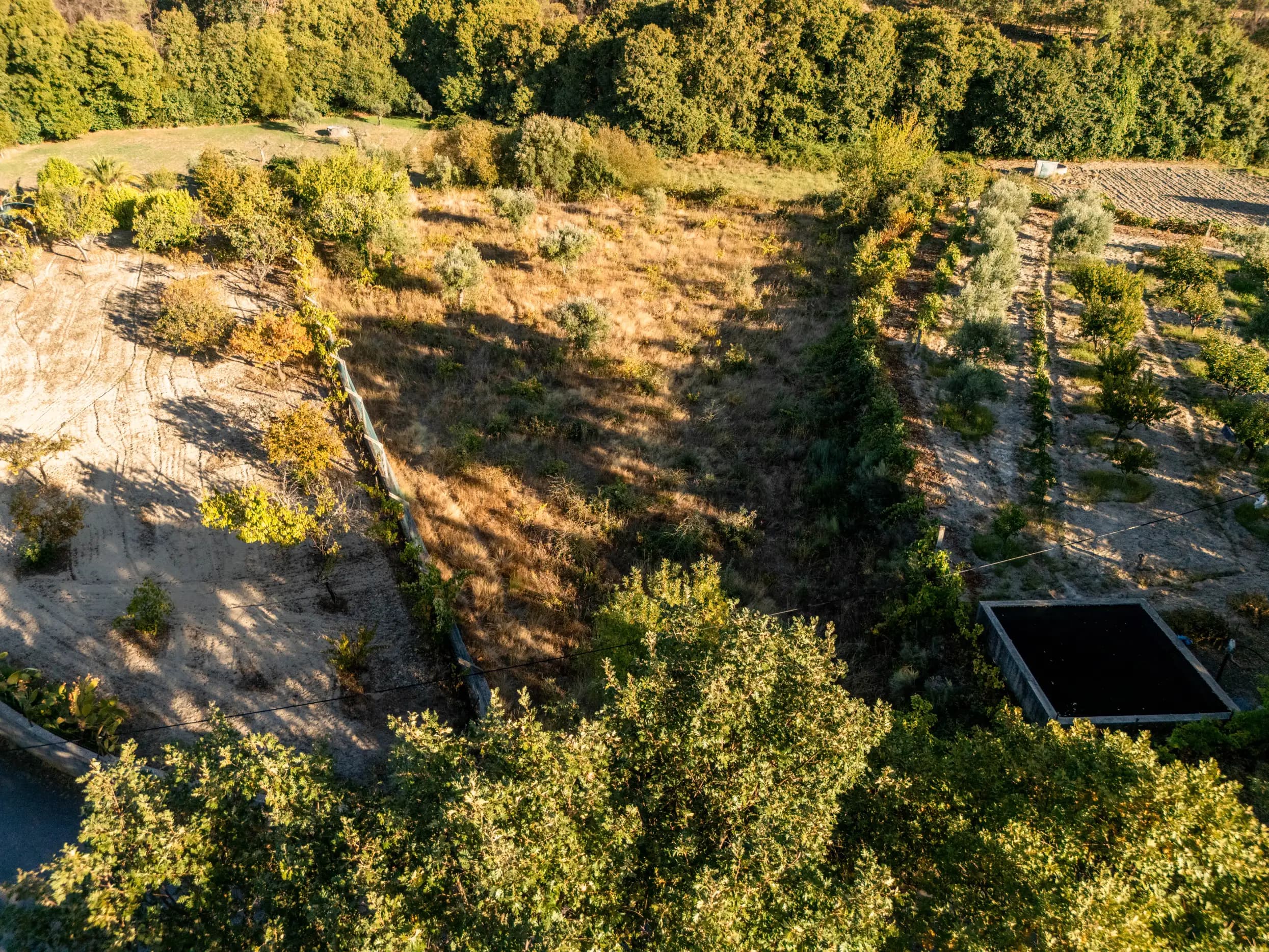 Terreno Rustico Recintato di 5.000 m² a Casteleiro - Image 10