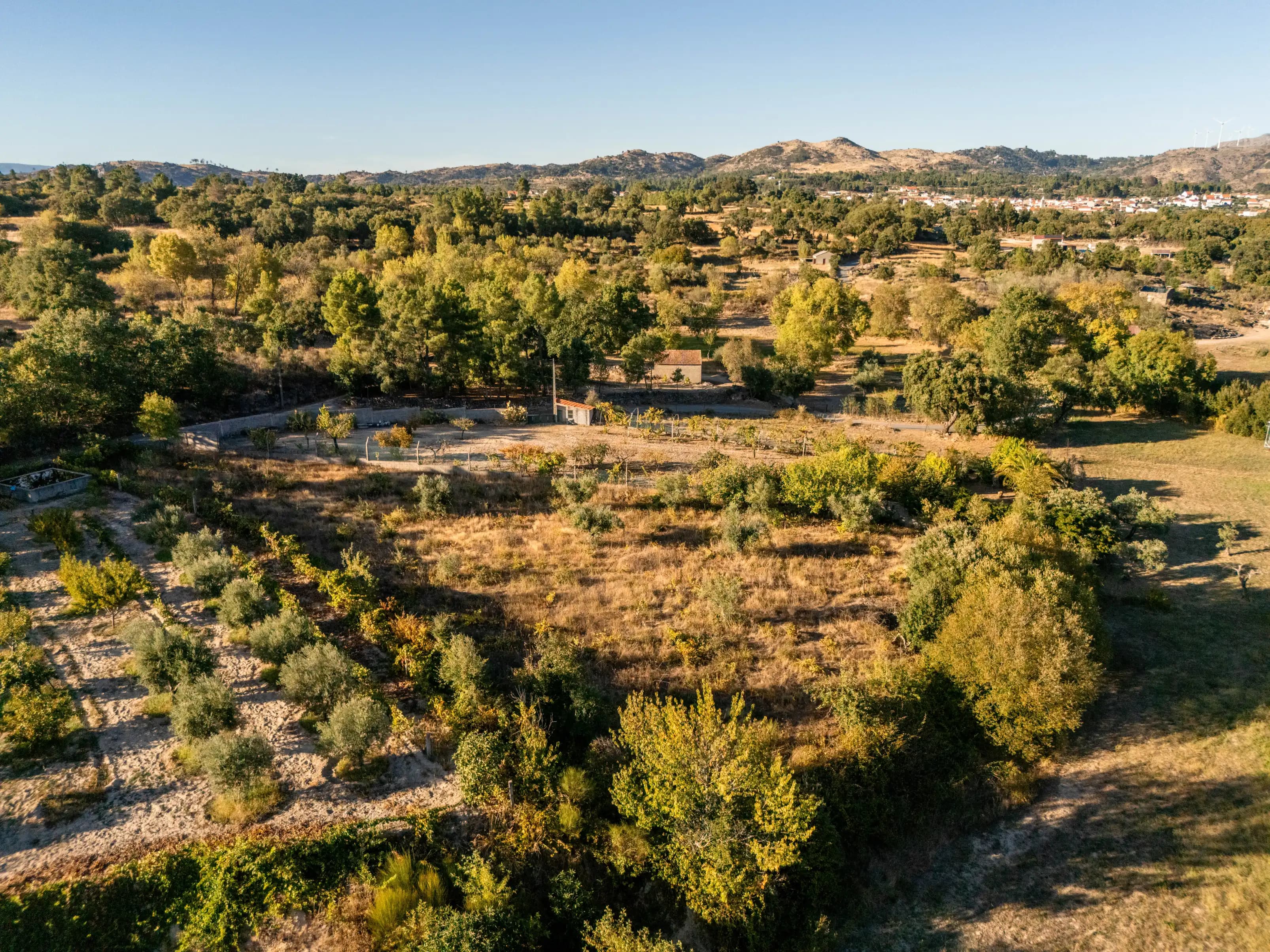 Terreno Rustico Recintato di 5.000 m² a Casteleiro - Image 3
