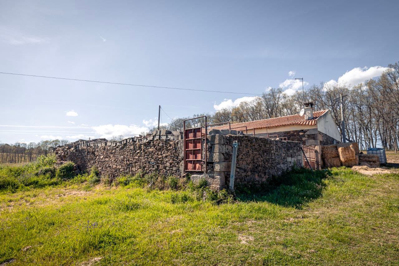 A Serene 14ha Farm Near Sabugal, bordered by a River - Image 3