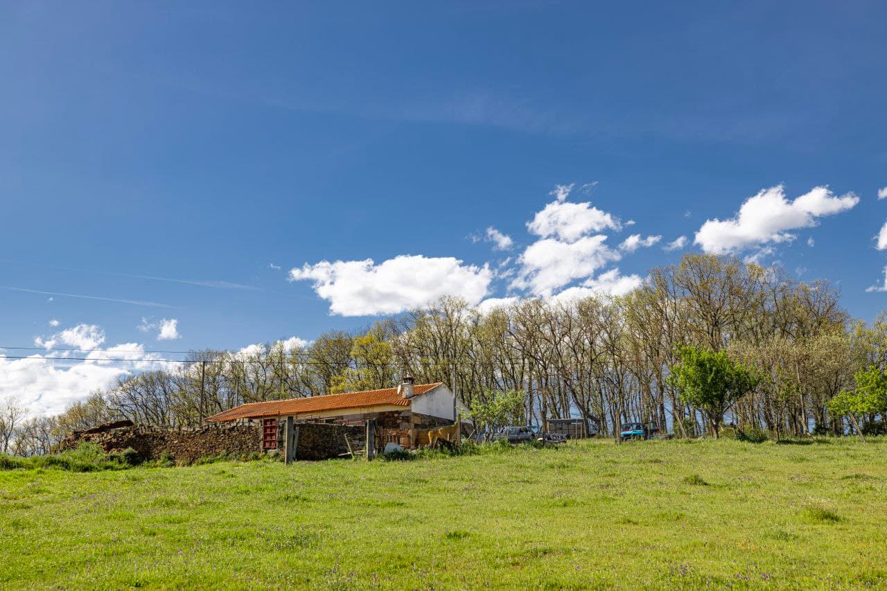 A Serene 14ha Farm Near Sabugal, bordered by a River