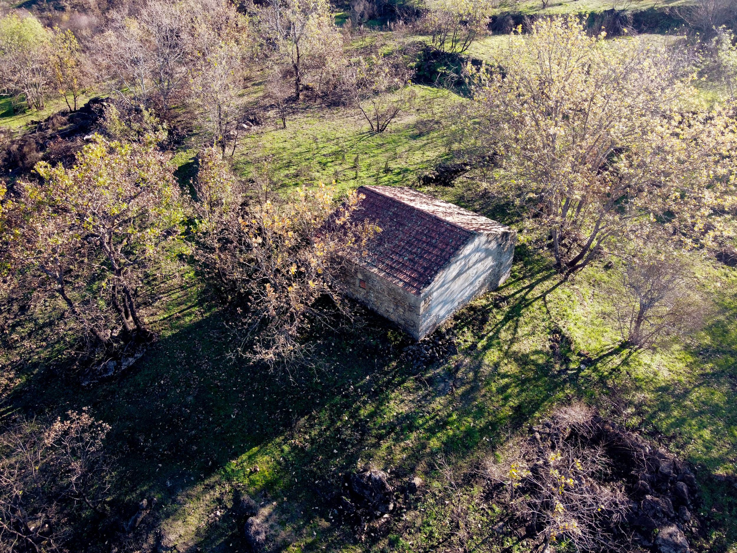 Mapa e Características