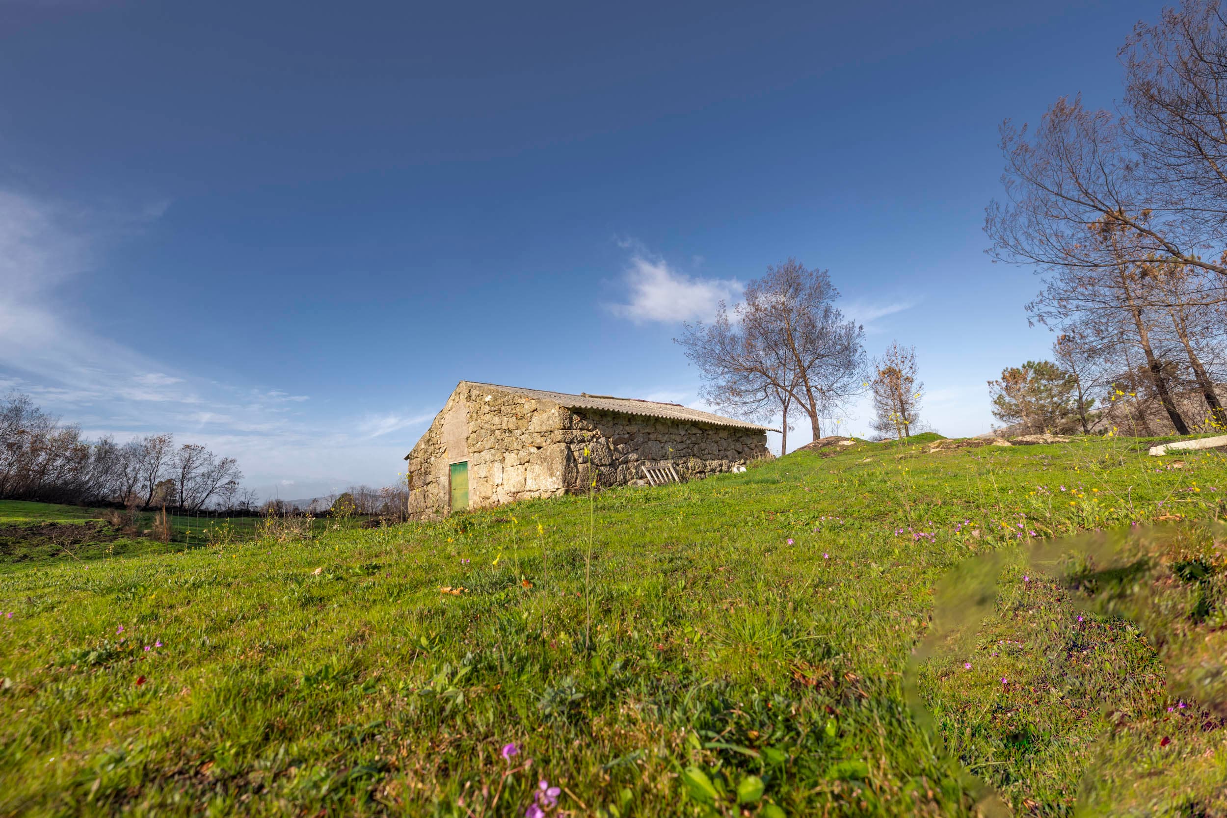 10.000m² farm with house and water