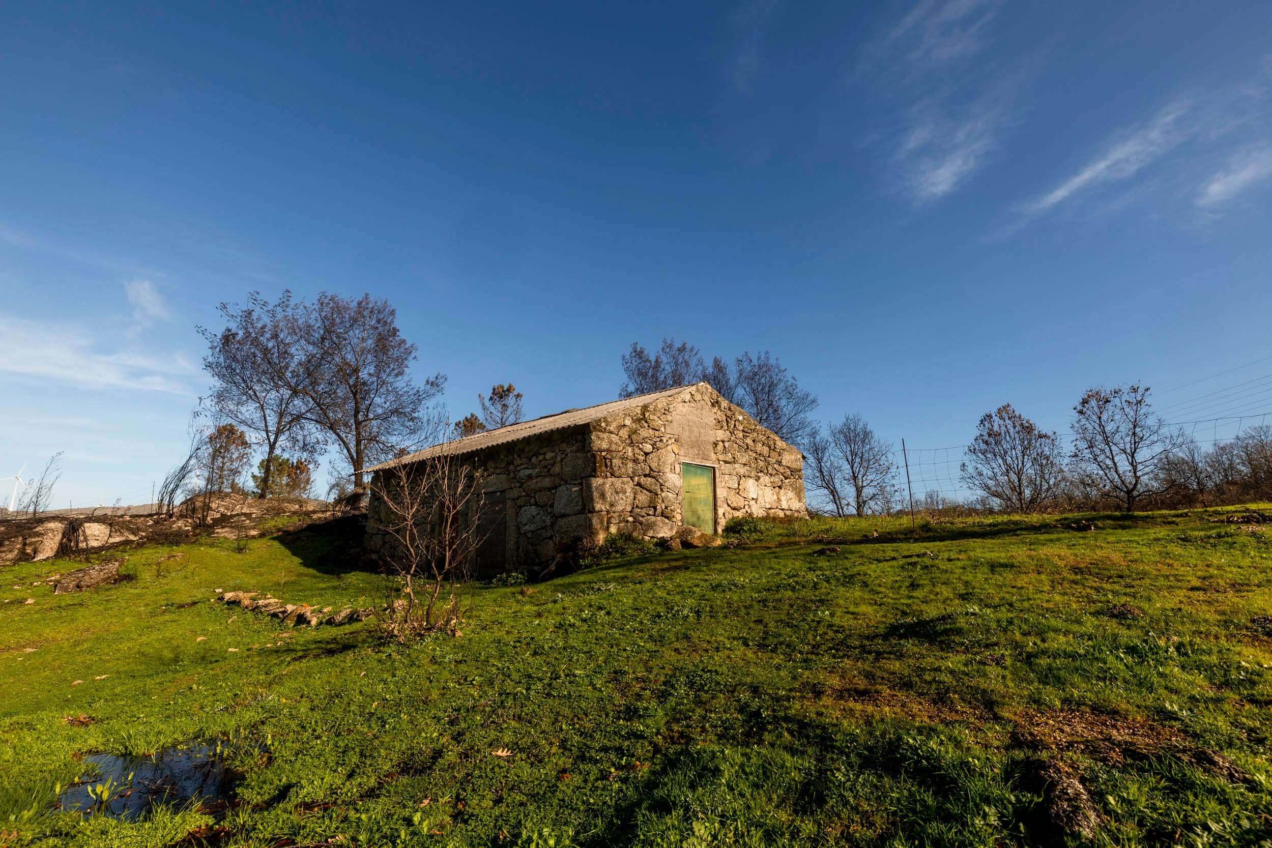 10.000m² farm with house and water - Image 1