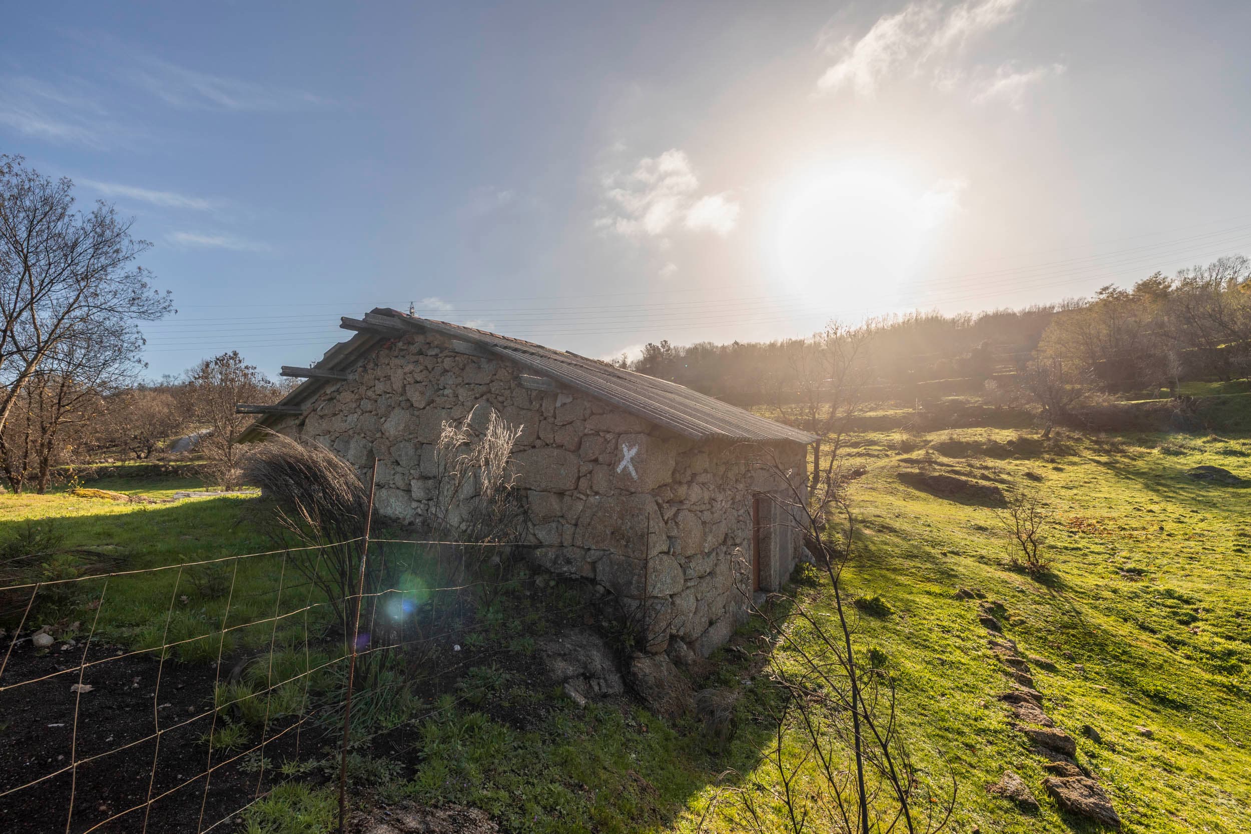 10.000m² farm with house and water - Image 2