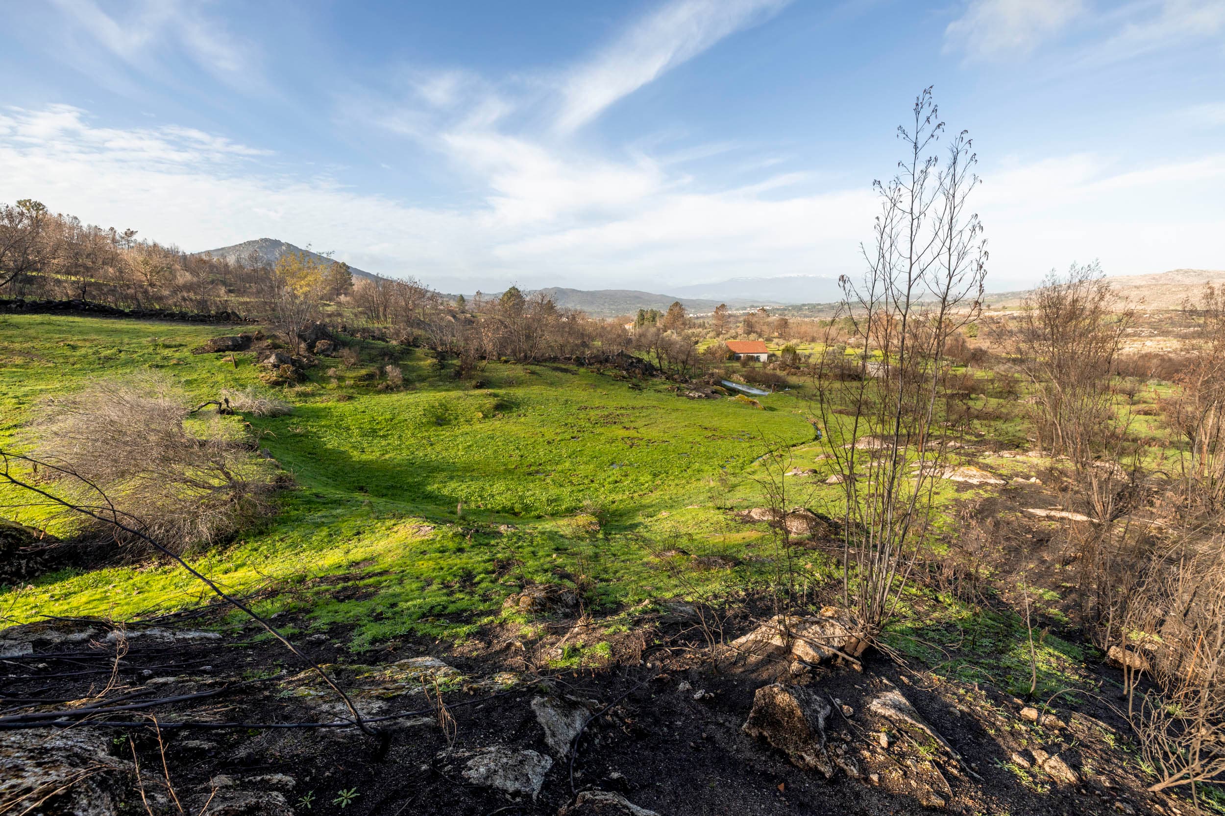 10.000m² farm with house and water - Image 3