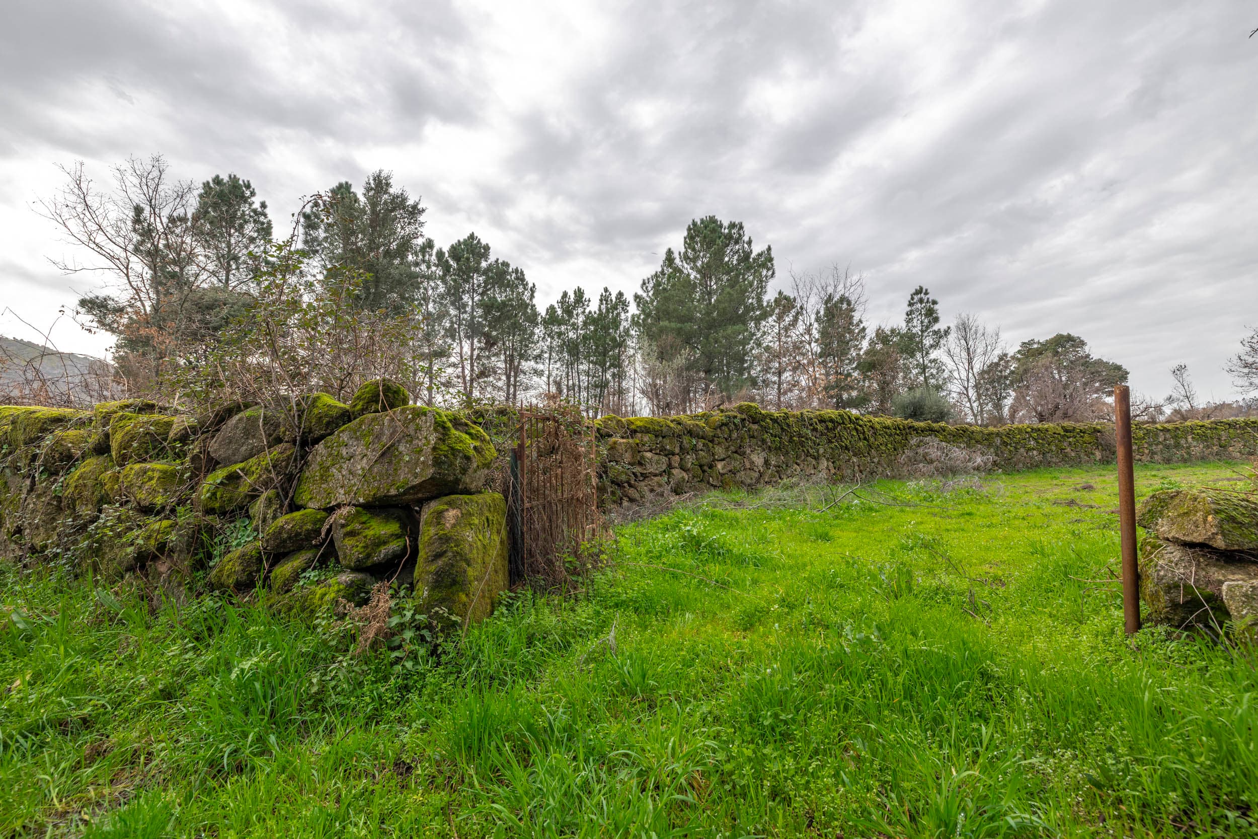 6,000 m² of Tranquil Forest with Meadow and Water - Image 14