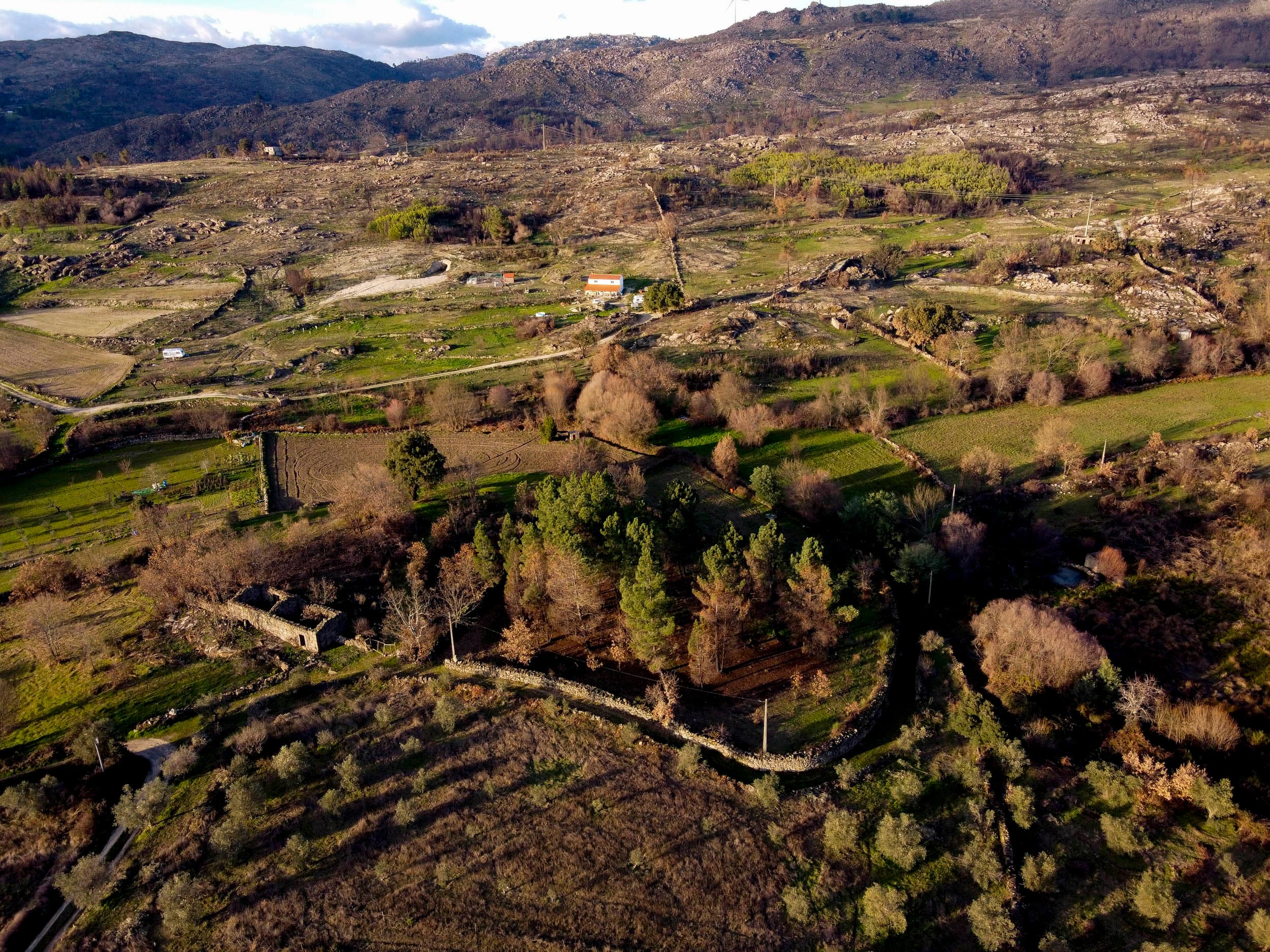 6,000 m² of Tranquil Forest with Meadow and Water