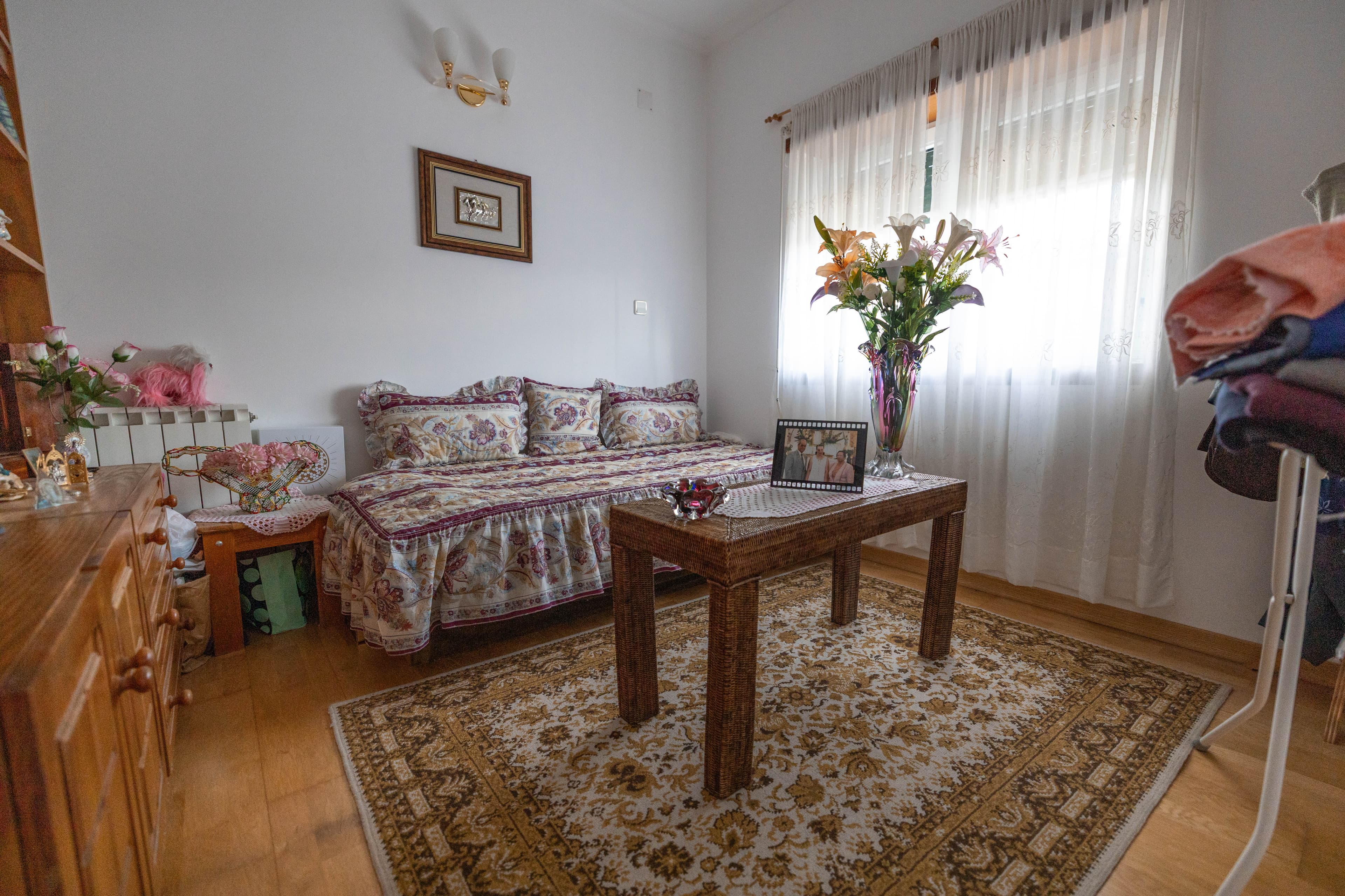 A Settled Home Among Olive Trees - Image 20