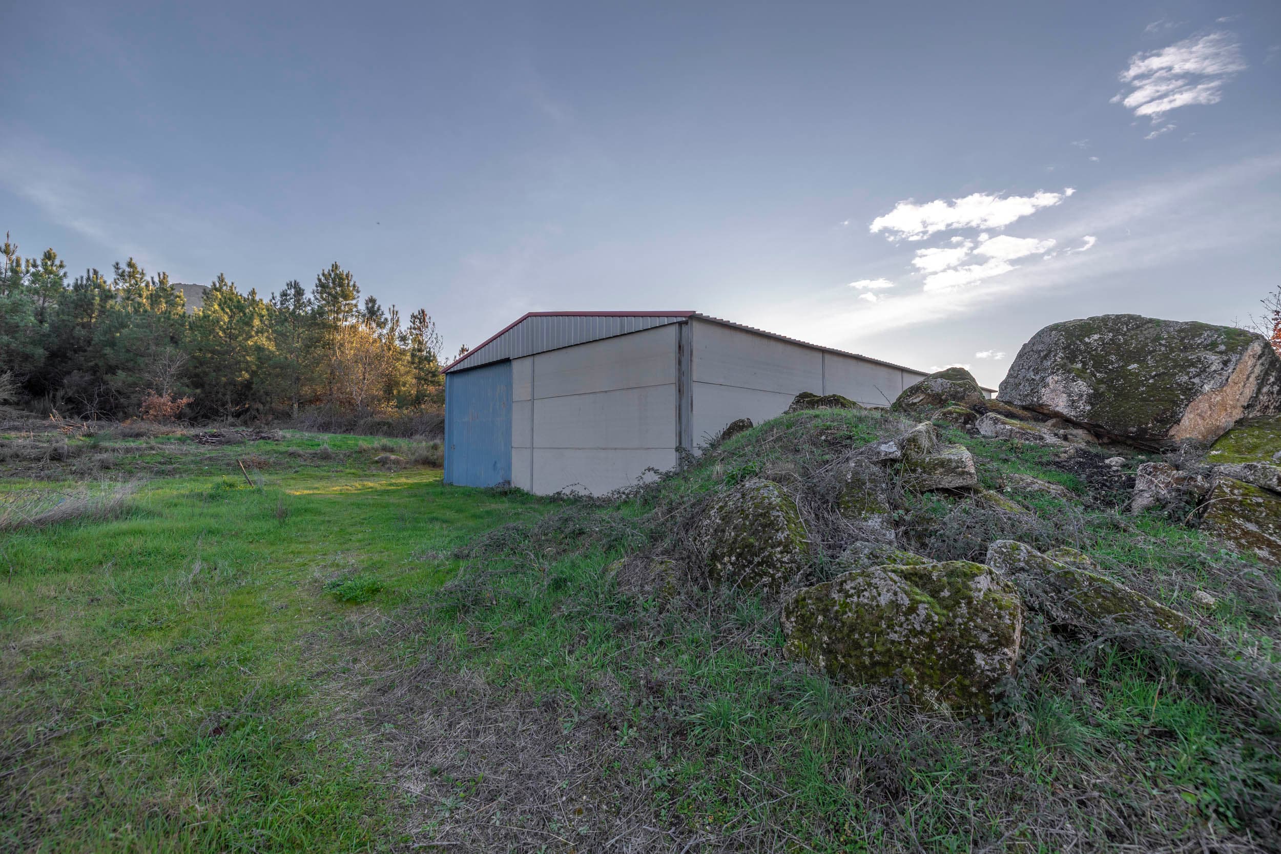 1 ha of pine forest and storage space - Image 3