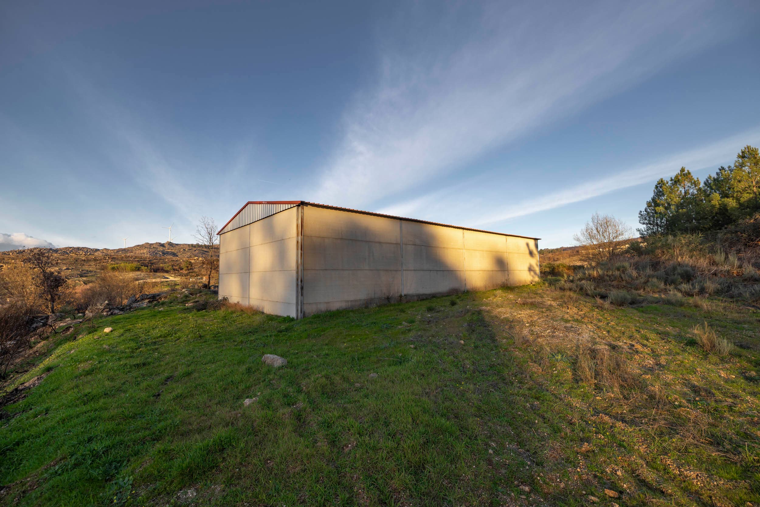 1 ha of pine forest and storage space