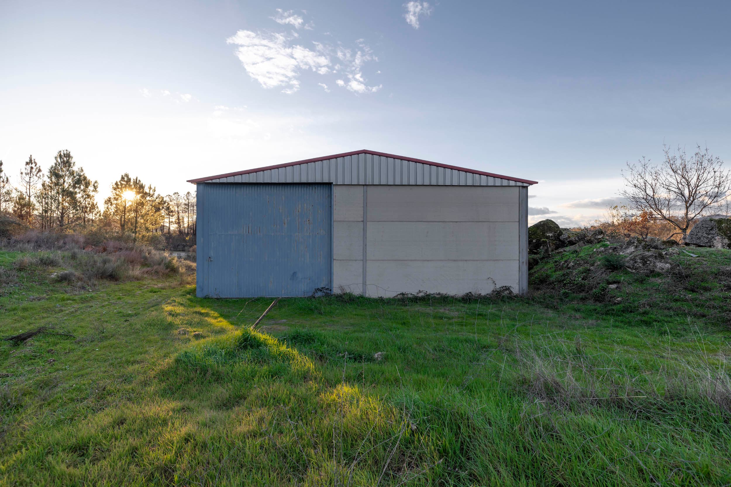 1 ha of pine forest and storage space - Image 2