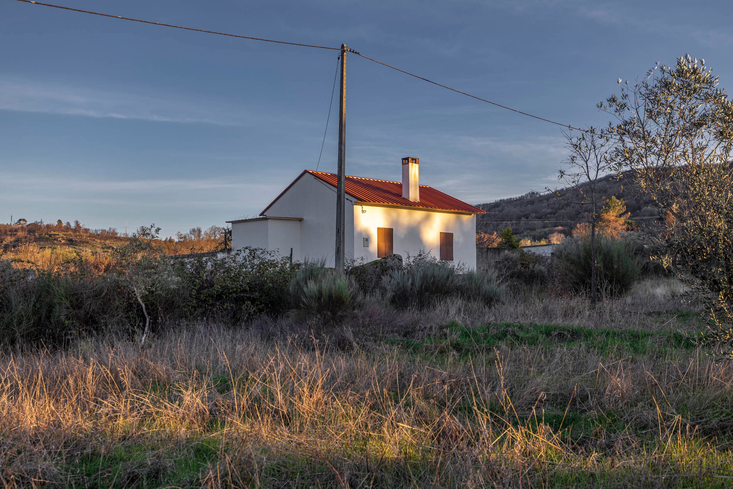 4 ha with 2 buildings of tranquility with olive trees