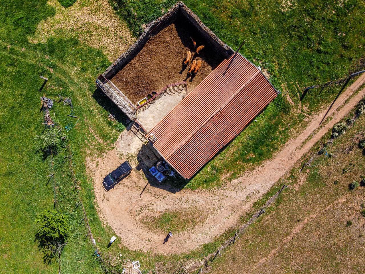 A Serene 14ha Farm Near Sabugal, bordered by a River - Image 21