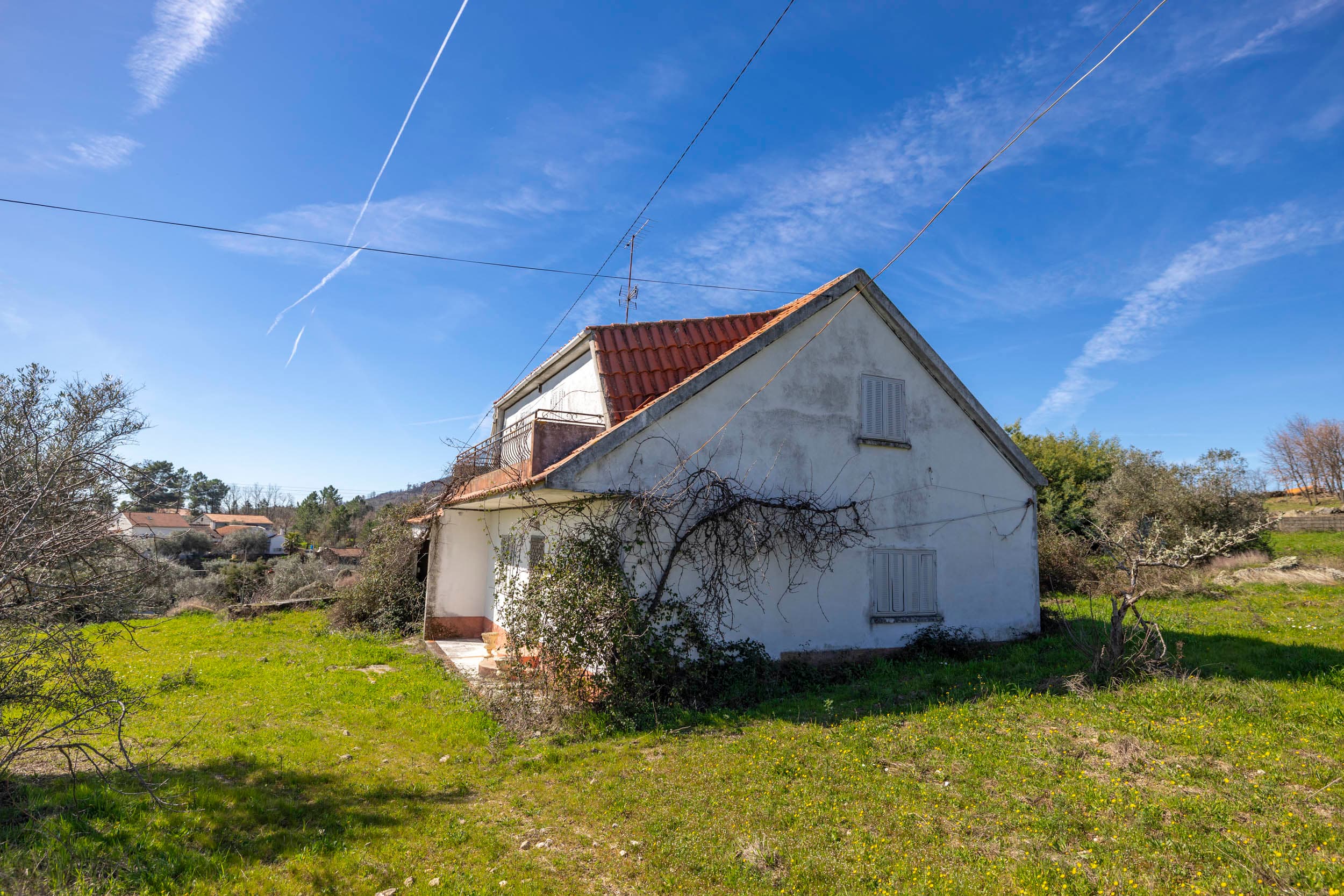 Big Farmhouse with 11500m² land